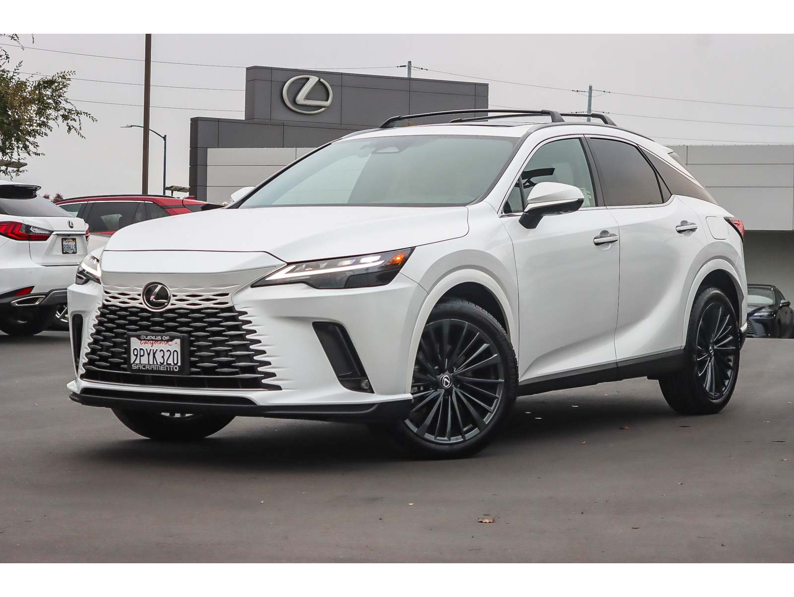 2024 Lexus RX 350's photo