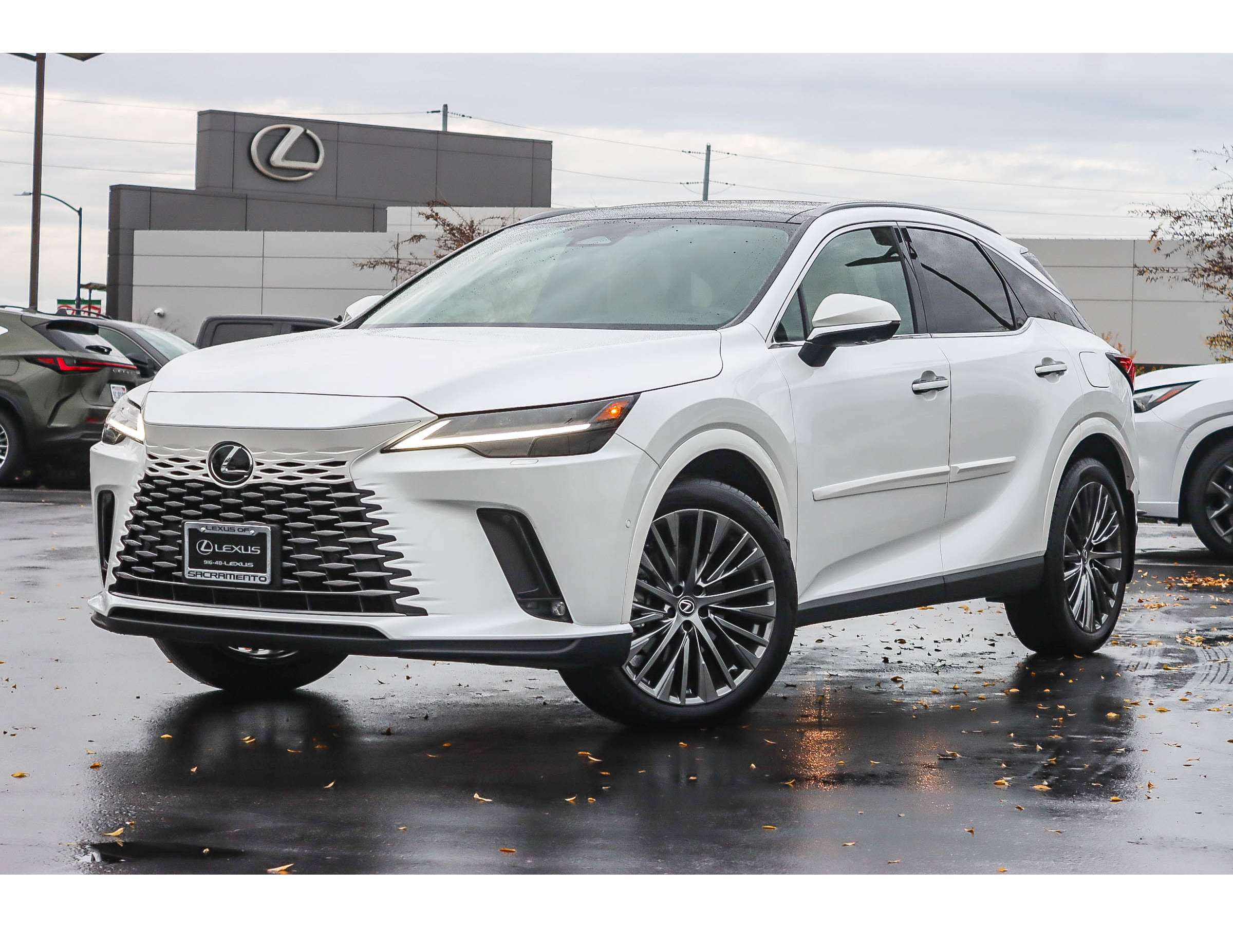2025 Lexus RX Hybrid 350h's photo