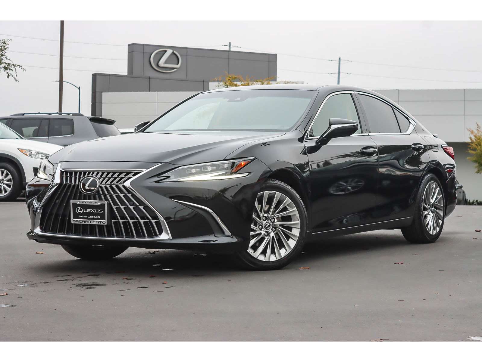 2023 Lexus ES Hybrid 300h Luxury's photo