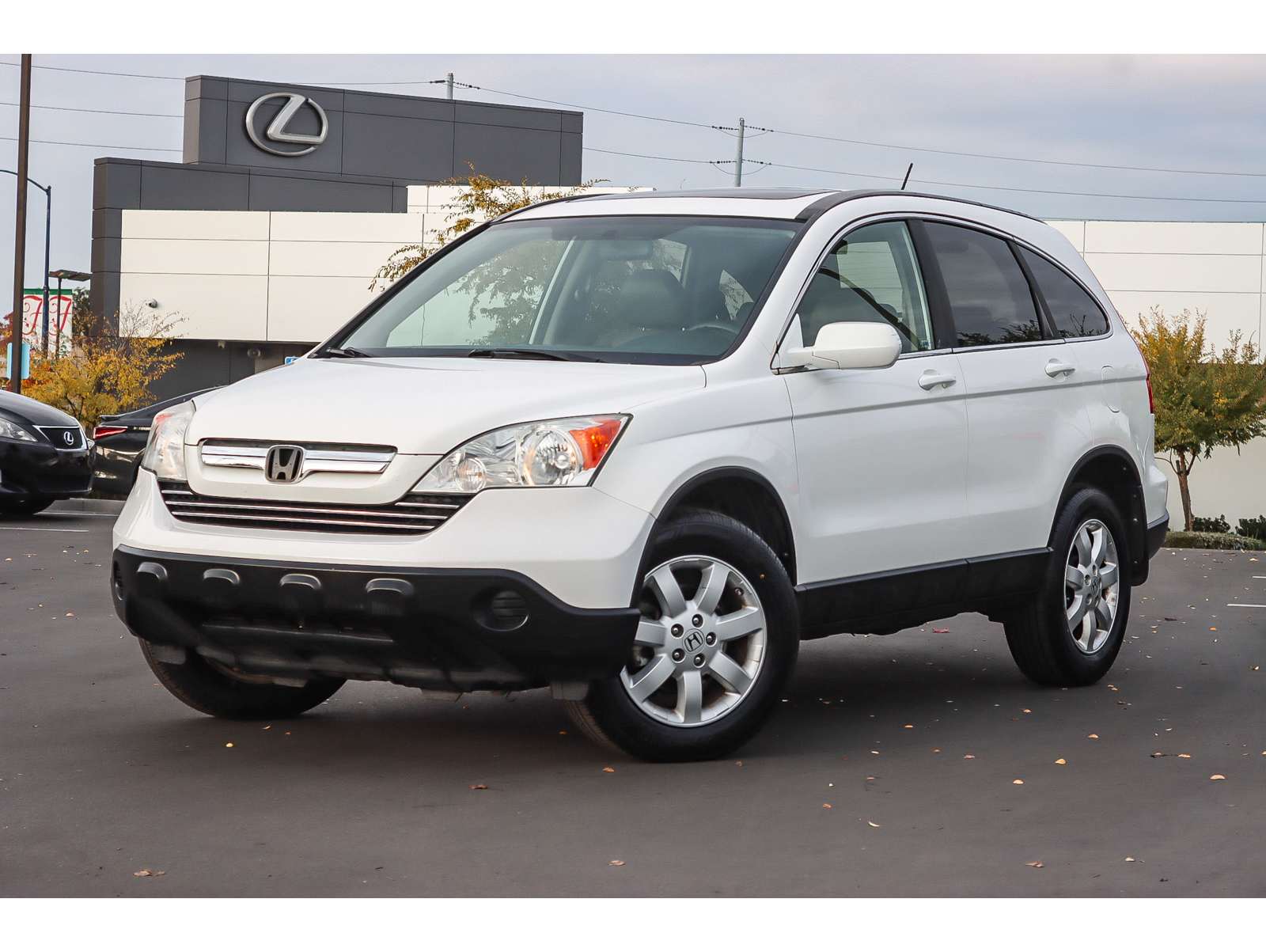 2009 Honda CR-V EX-L's photo