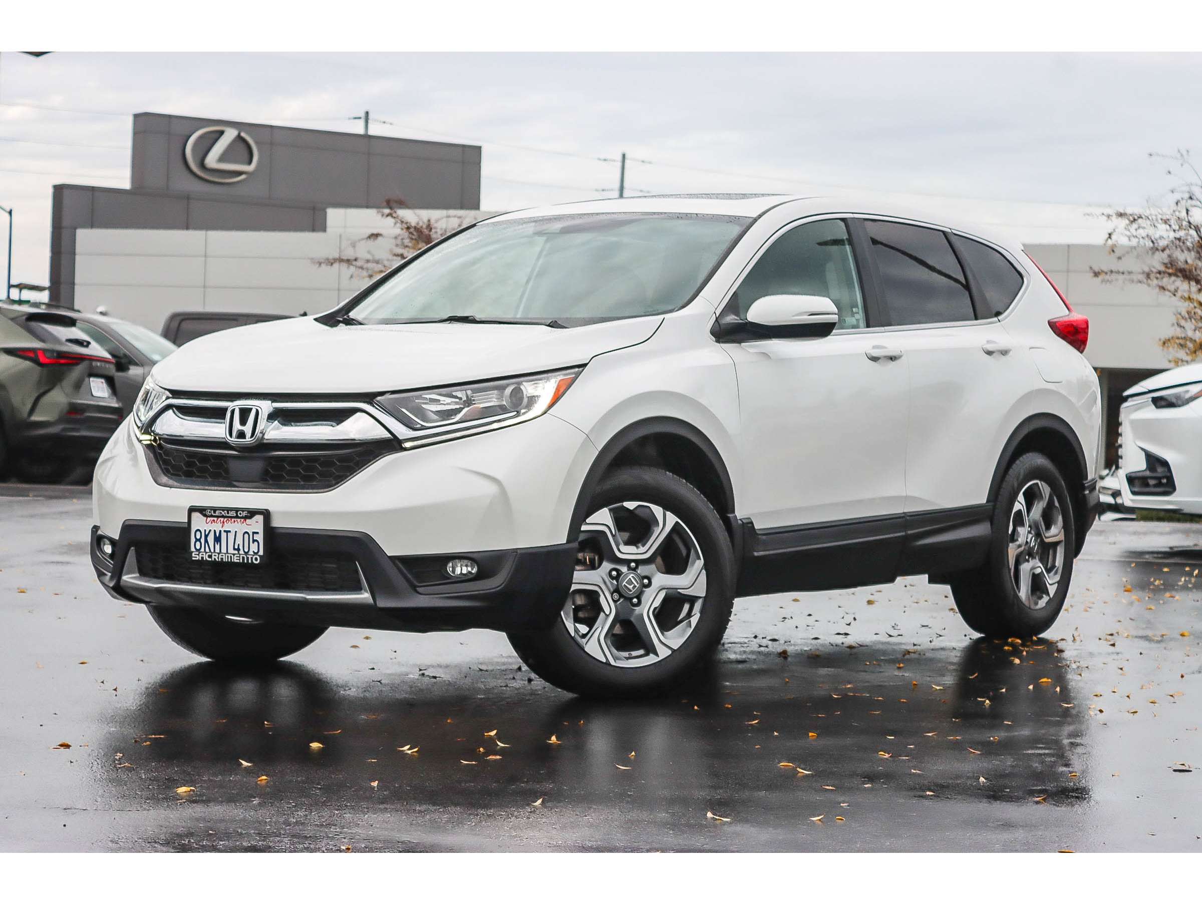 2019 Honda CR-V EX-L's photo