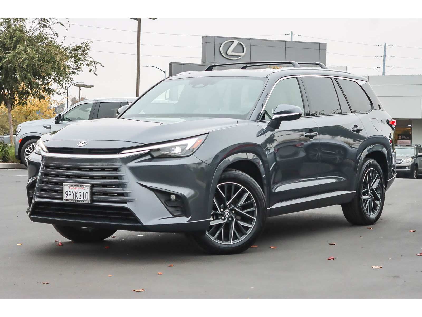 2024 Lexus TX 350's photo