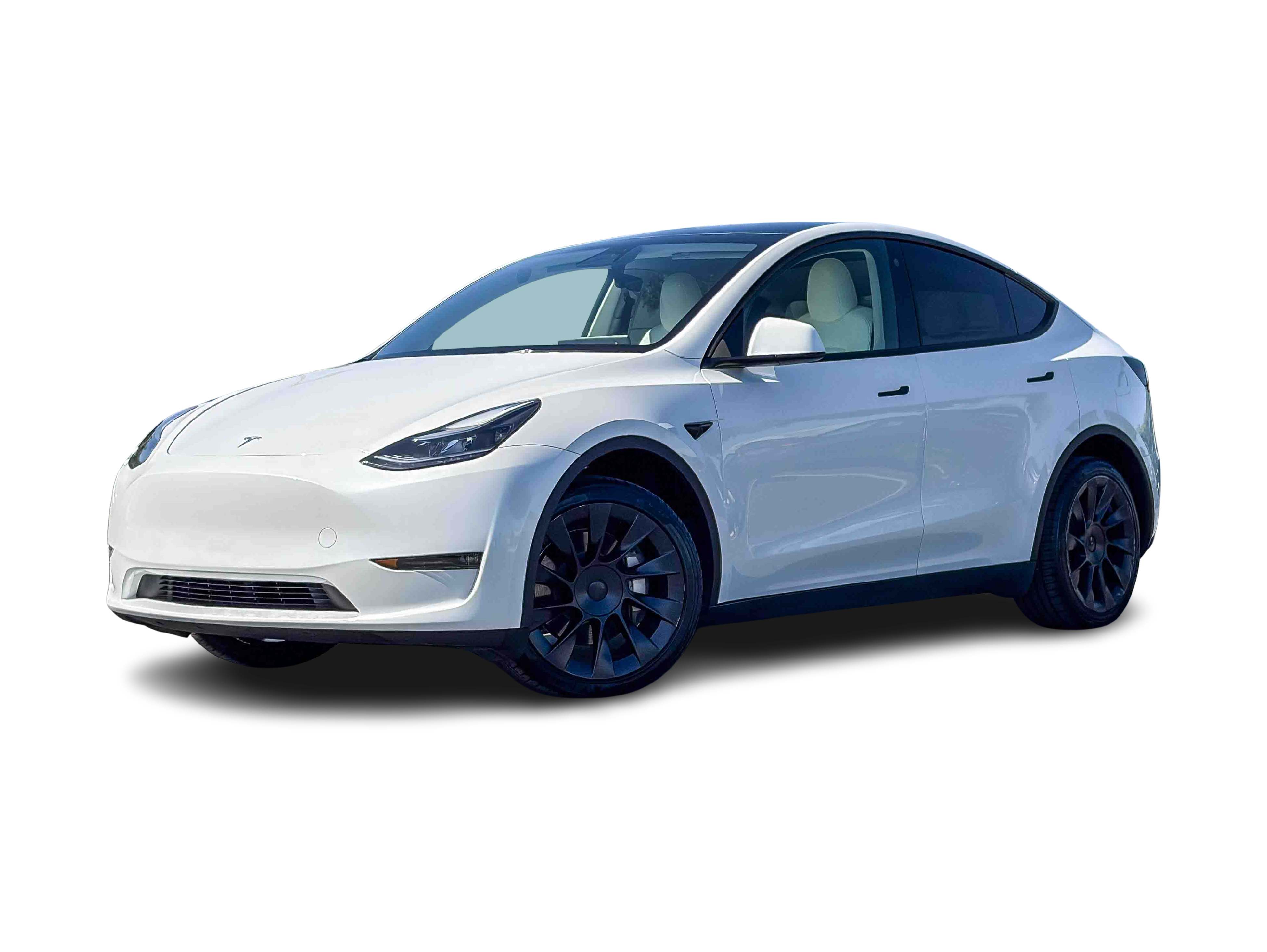 Thumbnail: 2023 Tesla Model Y - 1