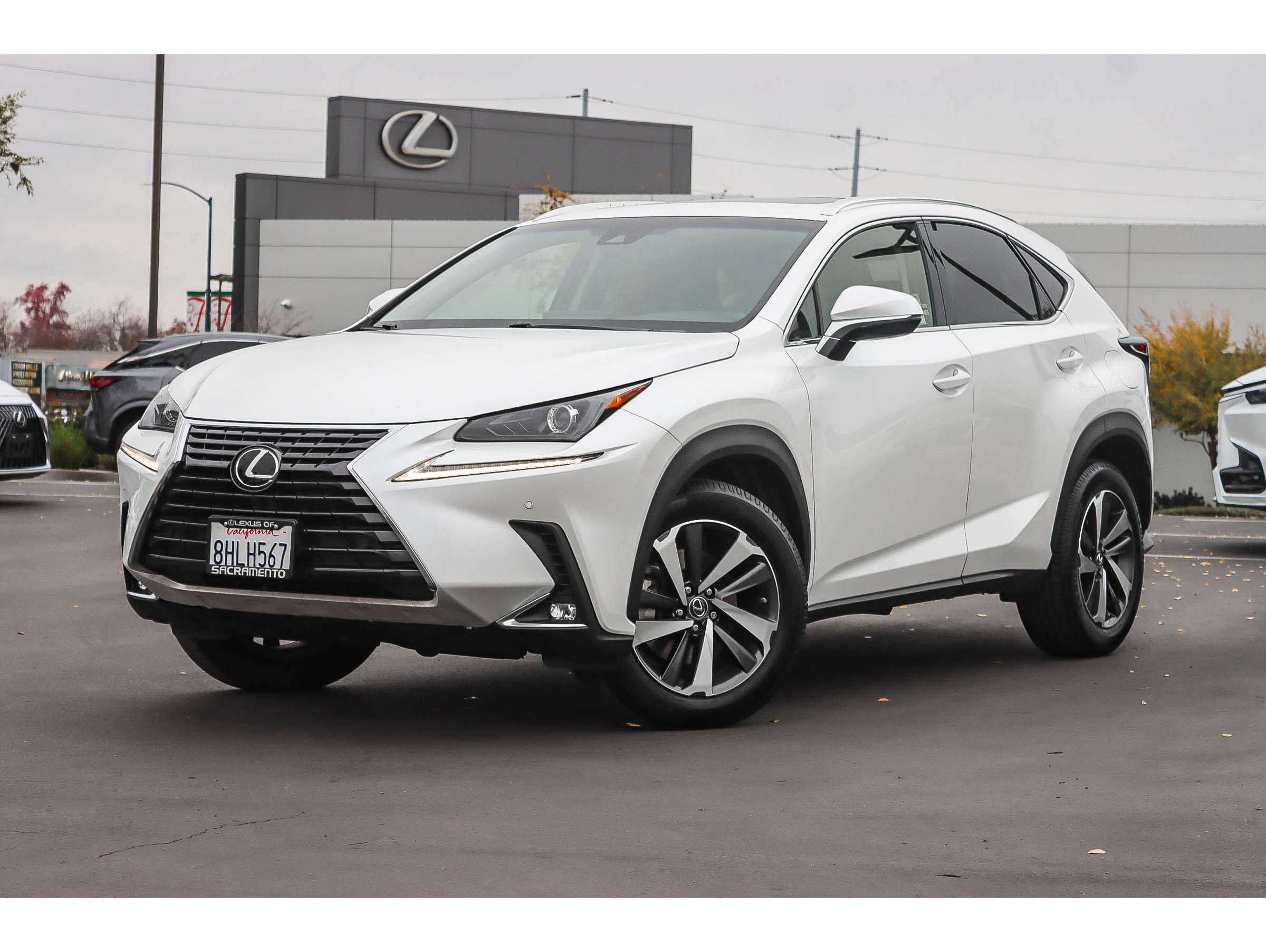 2019 Lexus NX 300's photo