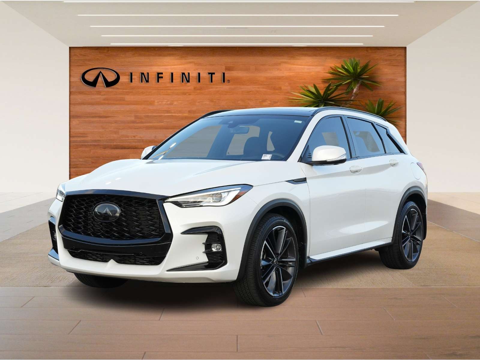 2025 INFINITI QX50 Sport's photo