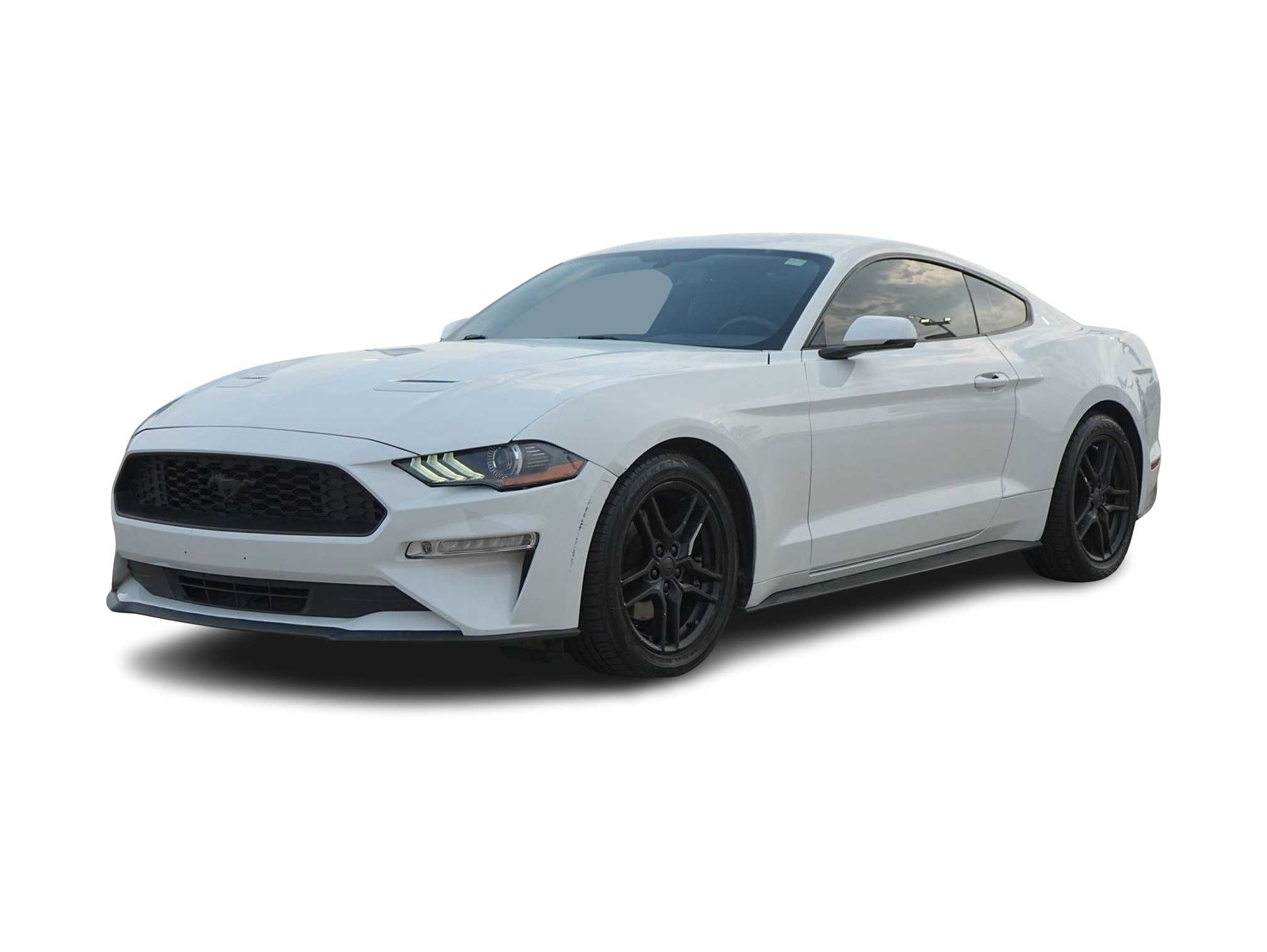 2019 Ford Mustang  -
                  Houston, TX