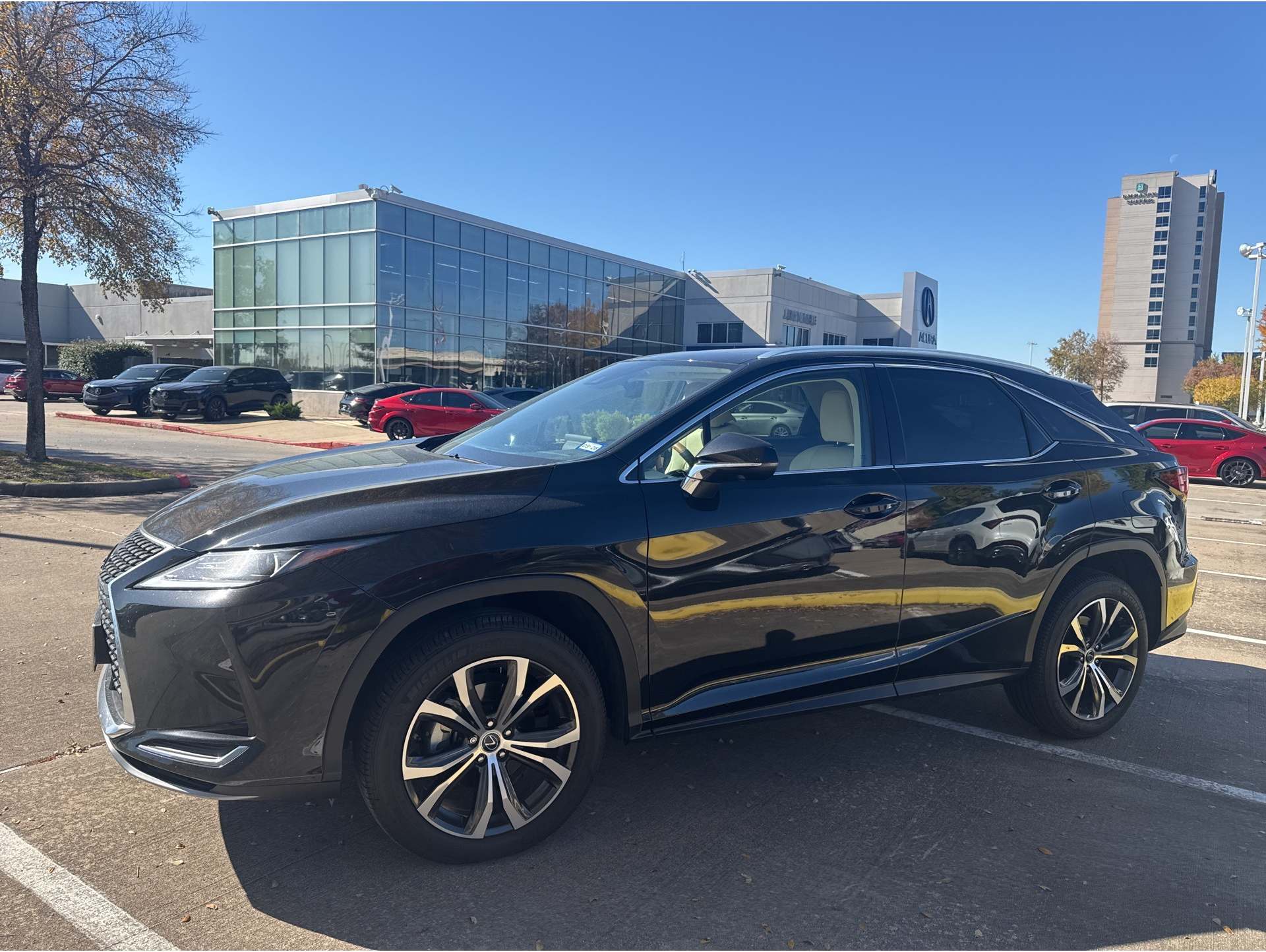 2021 Lexus RX 350's photo