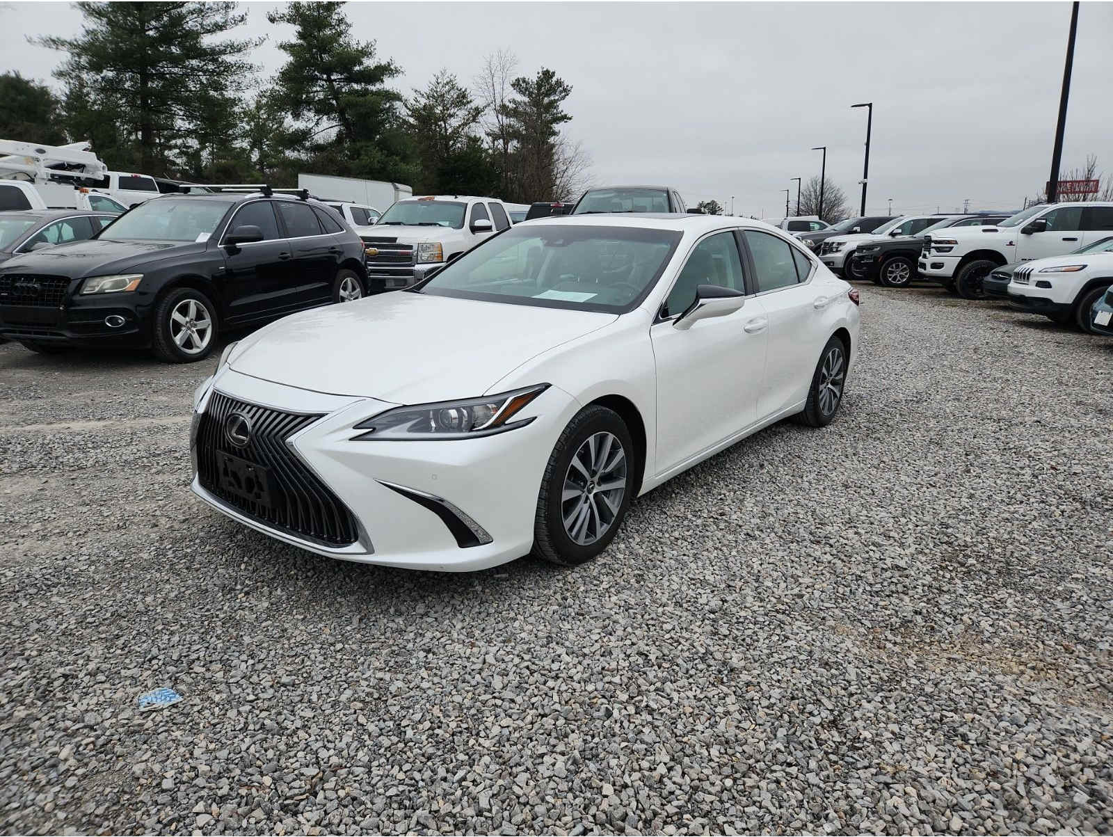 2019 Lexus ES 350's photo