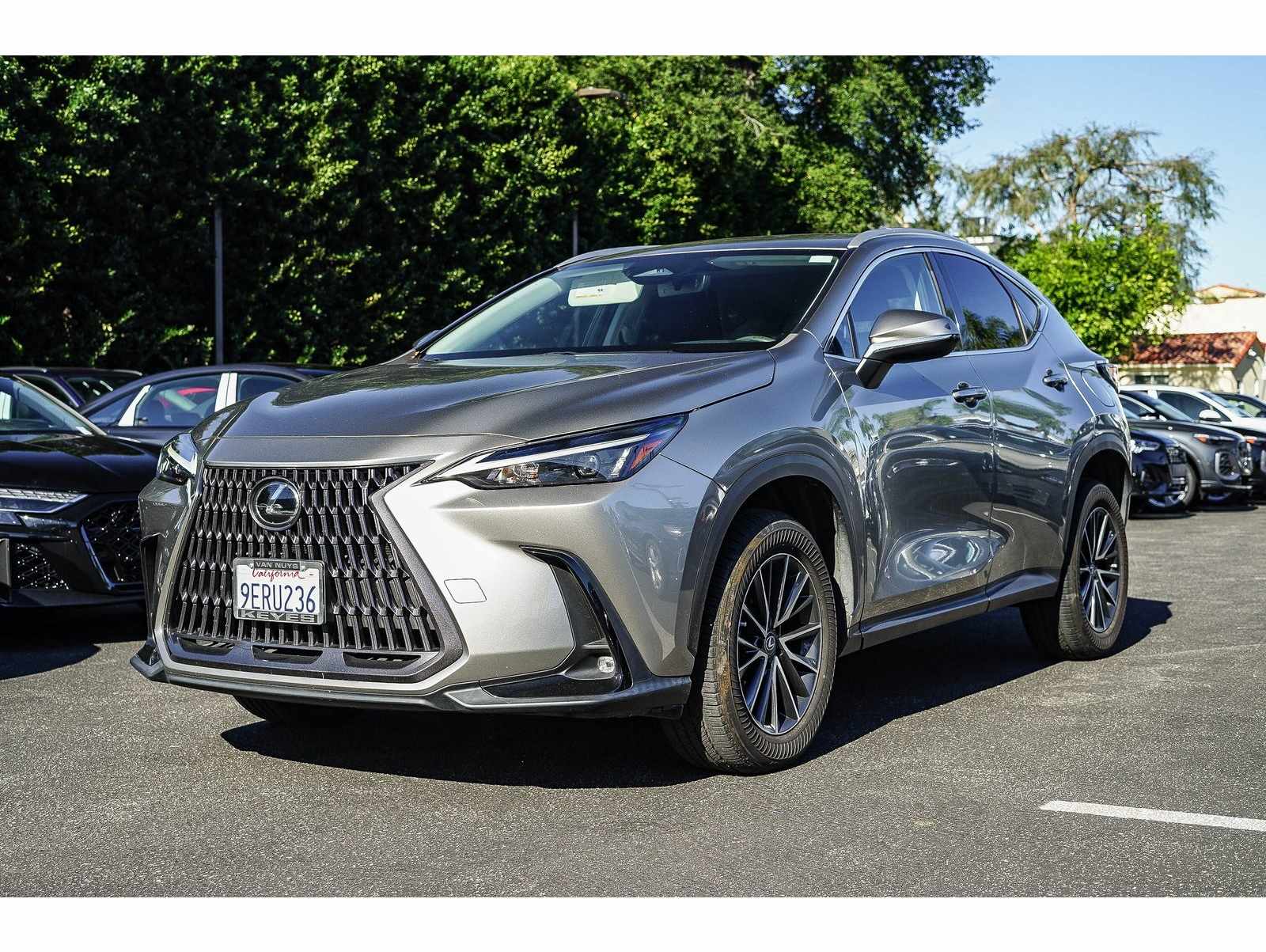 2023 Lexus NX Base's photo