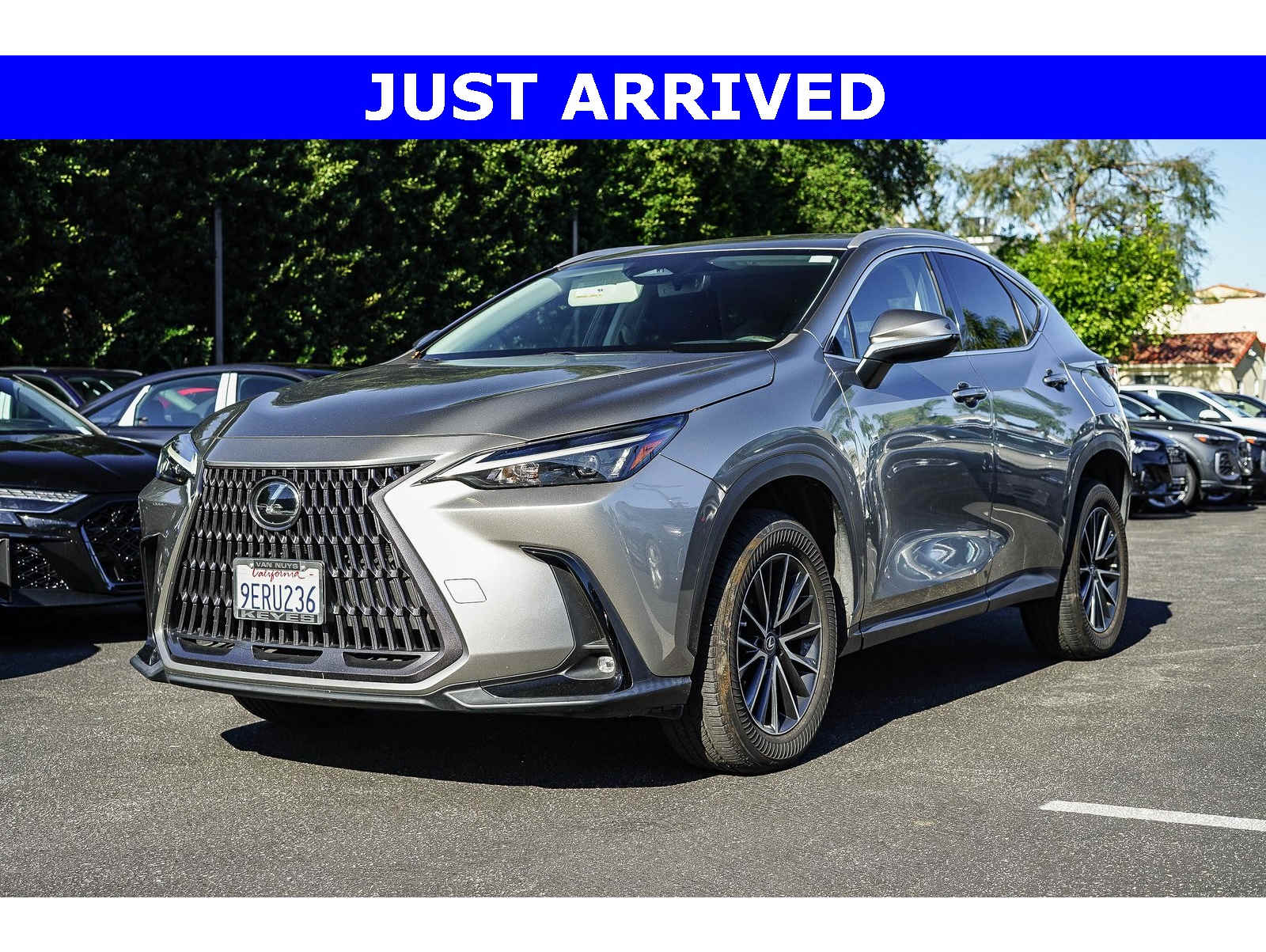 2023 Lexus NX 350