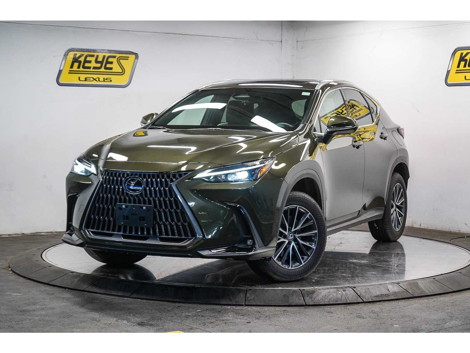 2024 Lexus NX 250