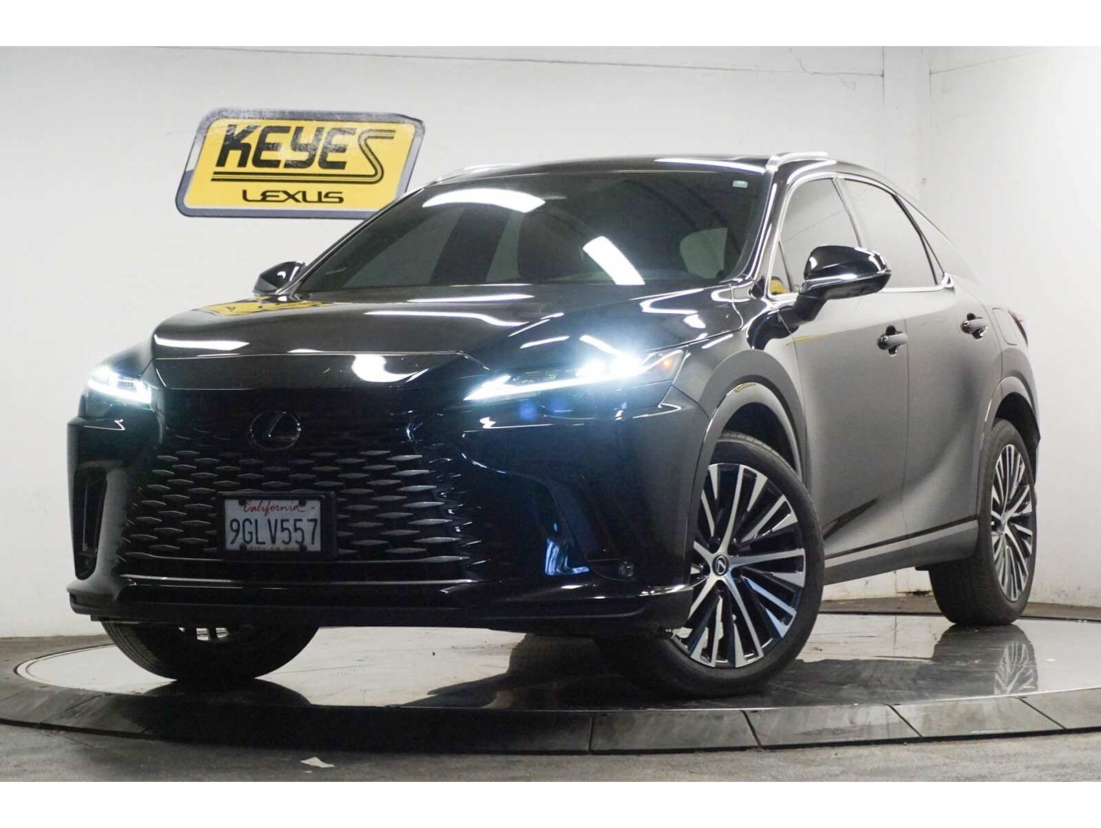 2023 Lexus RX 350's photo