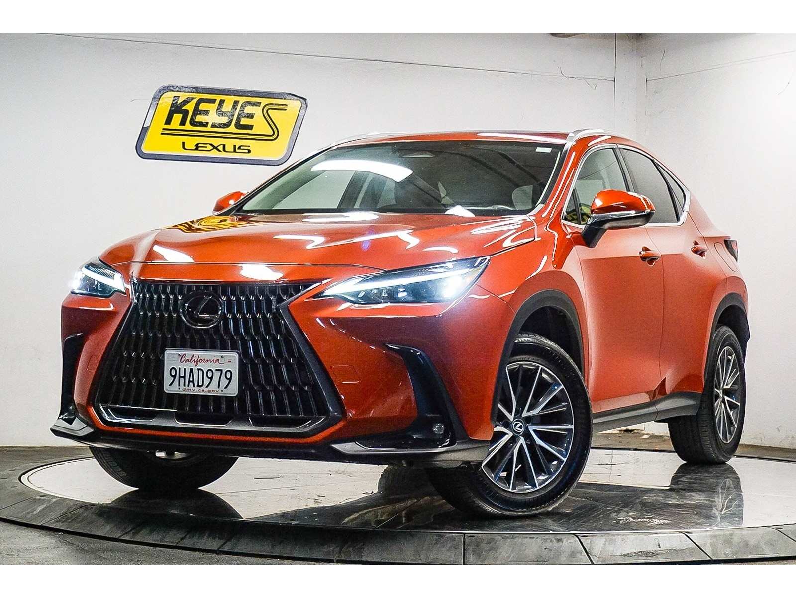 2024 Lexus NX 250's photo