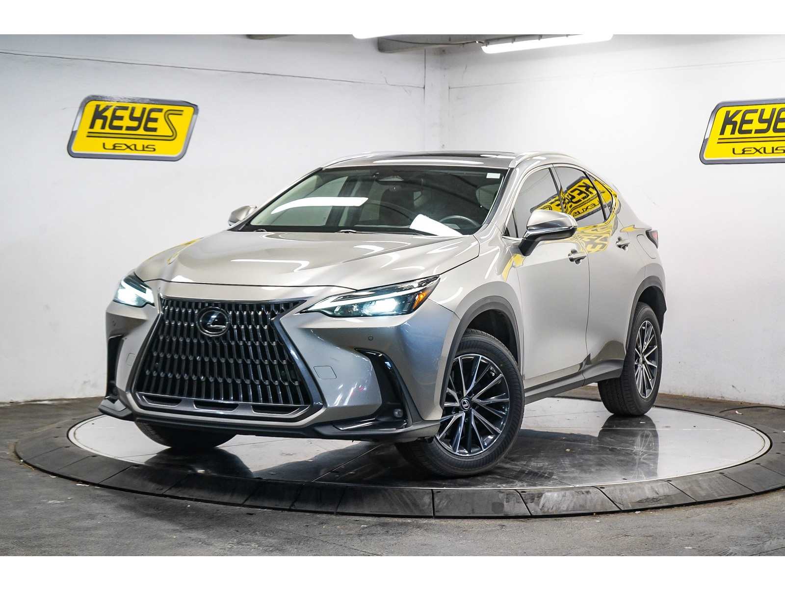 2023 Lexus NX Base's photo
