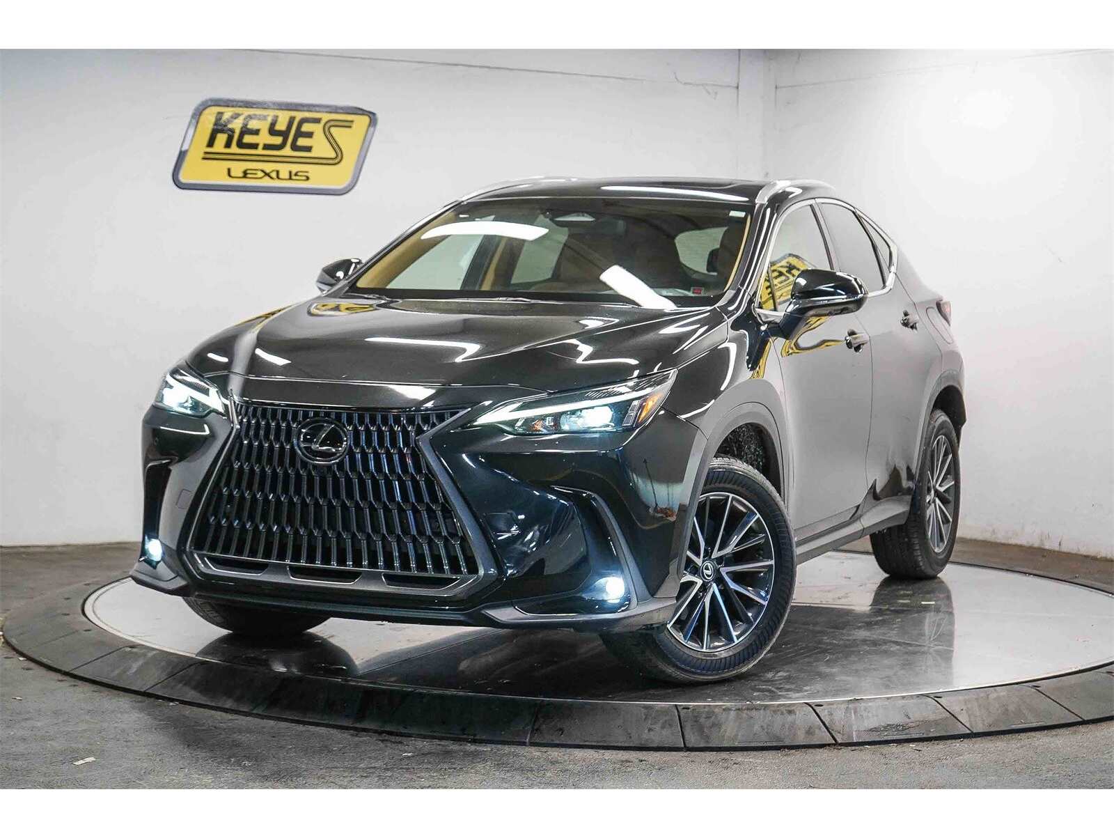 2024 Lexus NX 350's photo