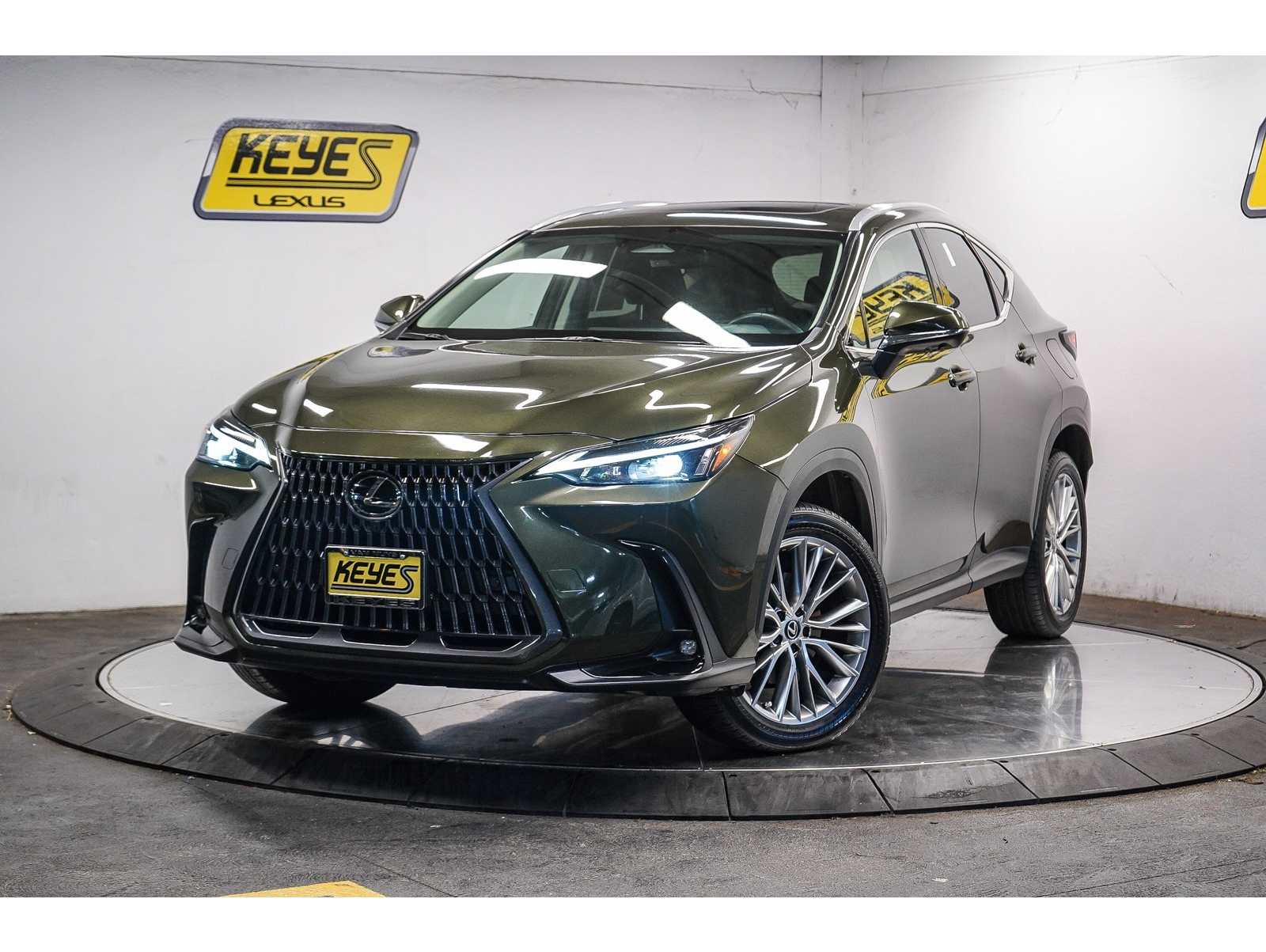 2025 Lexus NX 350's photo