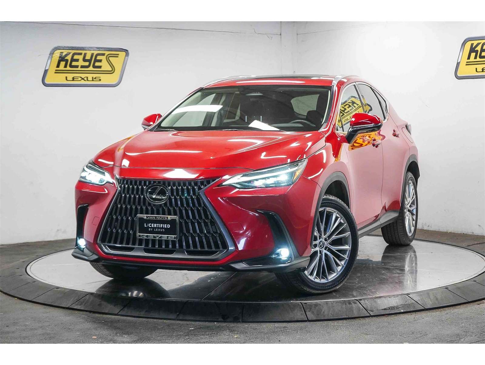 2024 Lexus NX 350's photo