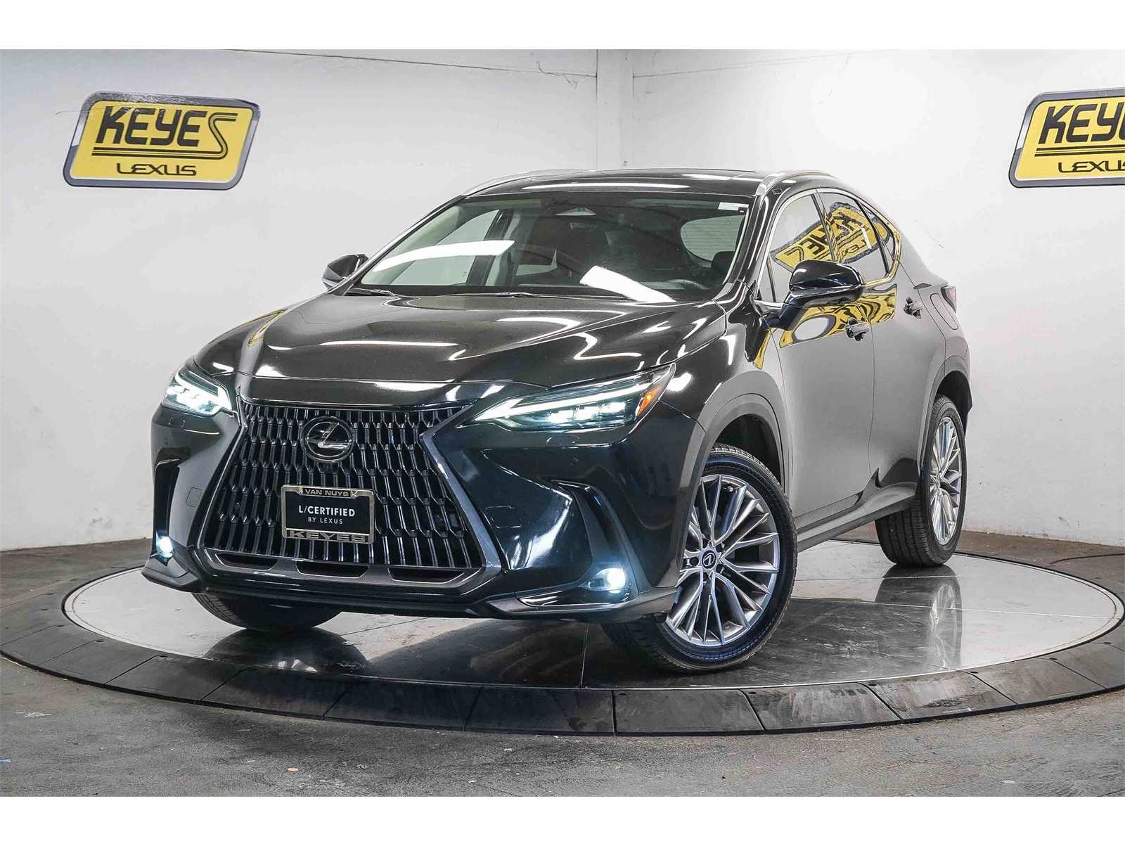 2024 Lexus NX 350's photo