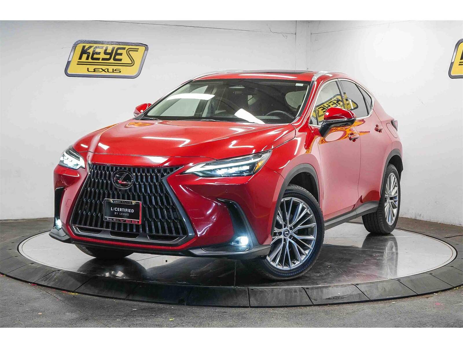 2024 Lexus NX 350's photo
