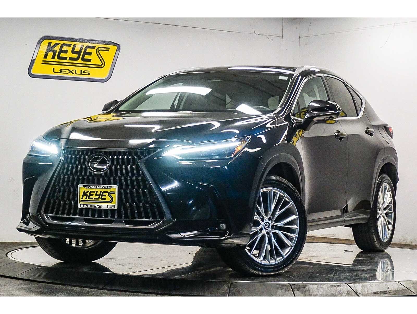 2025 Lexus NX 350's photo