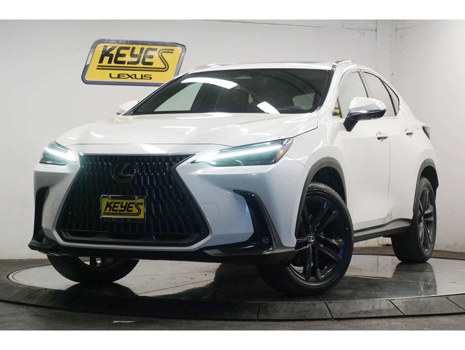 2024 Lexus NX PHEV 450h+'s photo