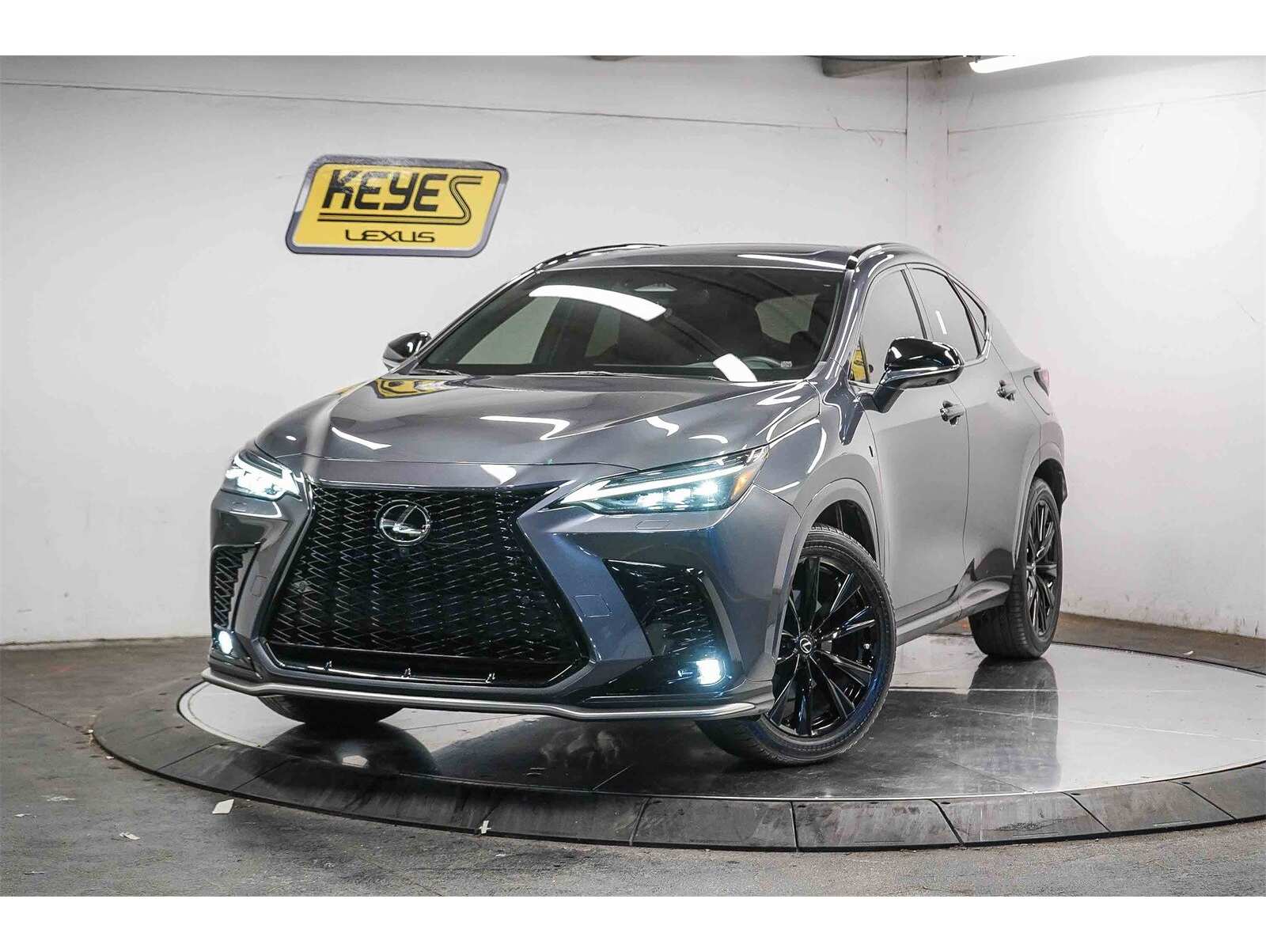 2024 Lexus NX PHEV 450h+'s photo