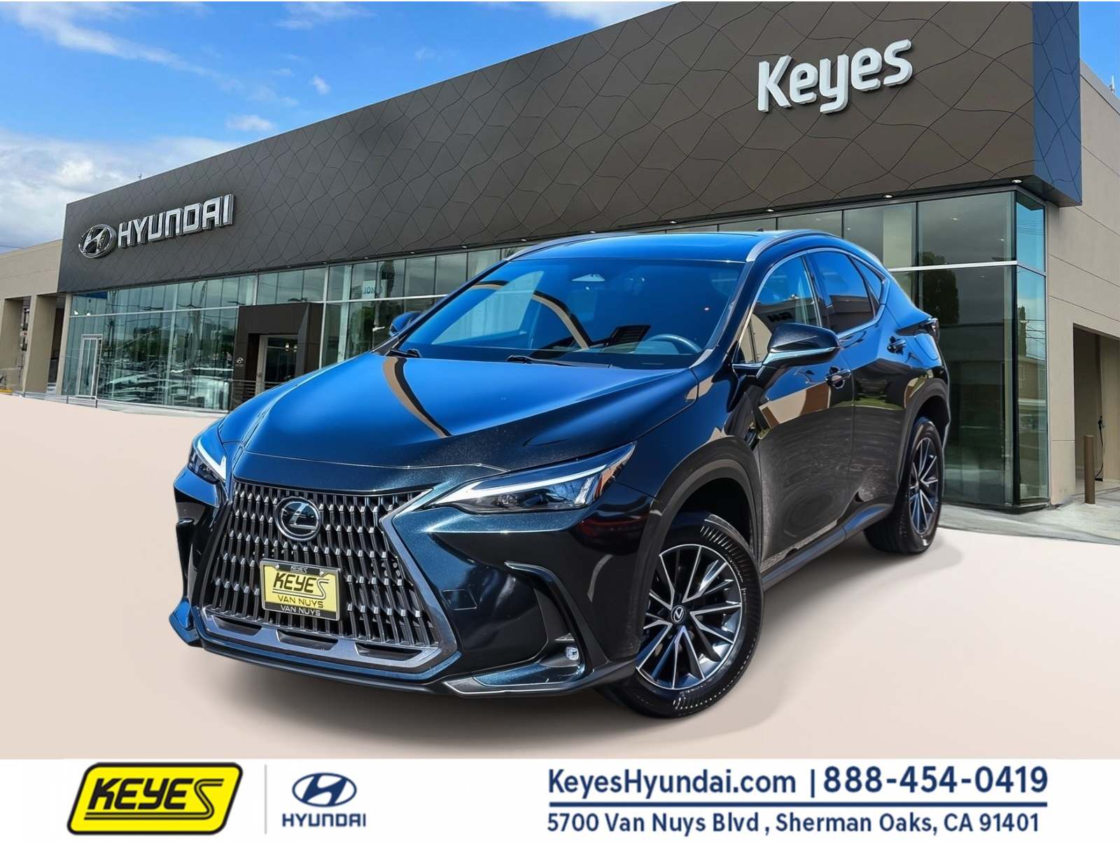 2024 Lexus NX