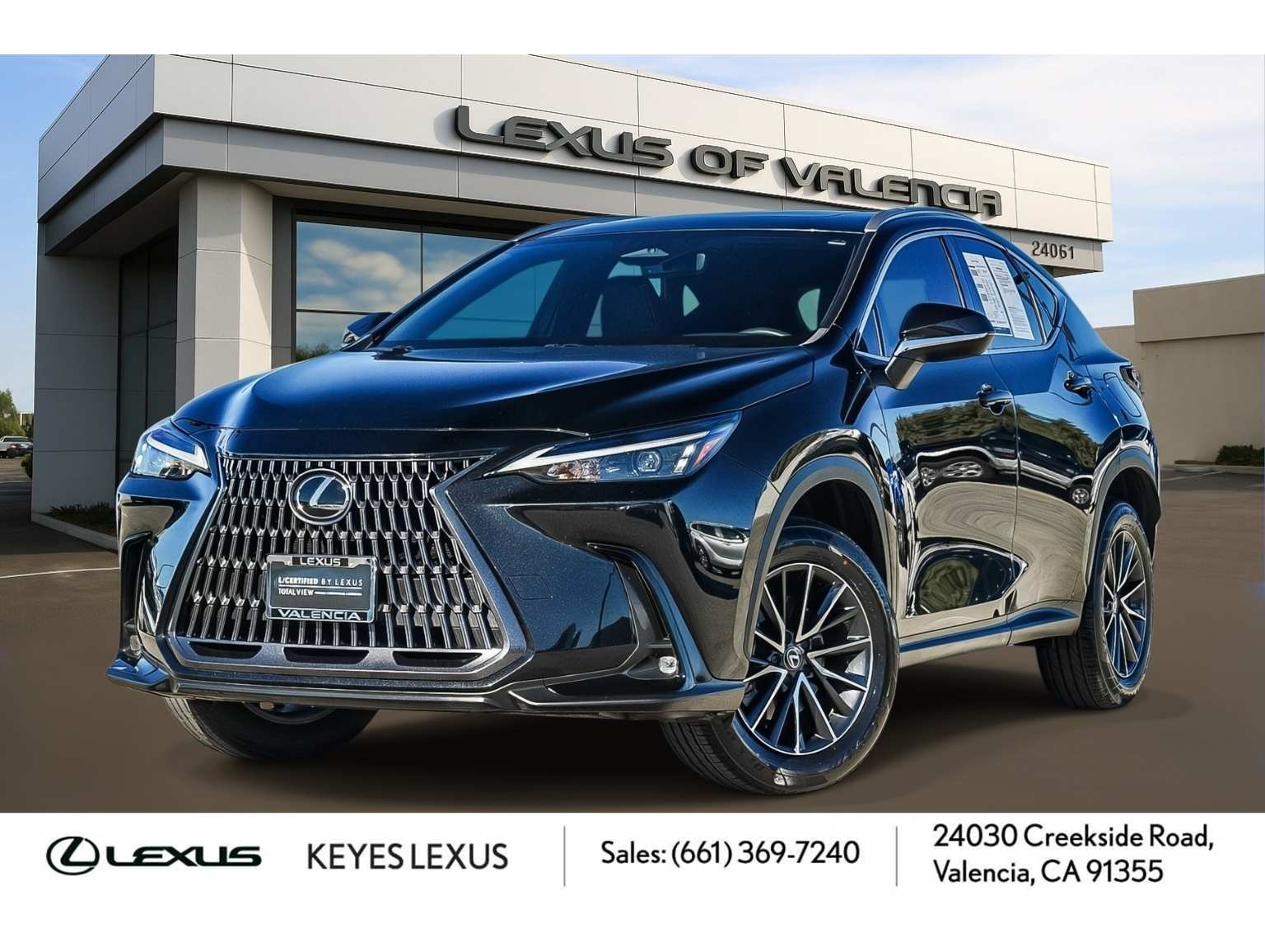 2024 Lexus NX 250's photo