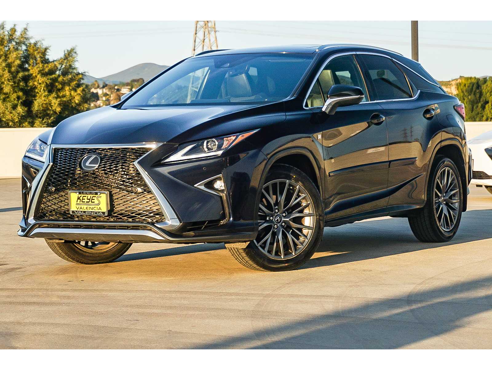 2019 Lexus RX 350 F SPORT