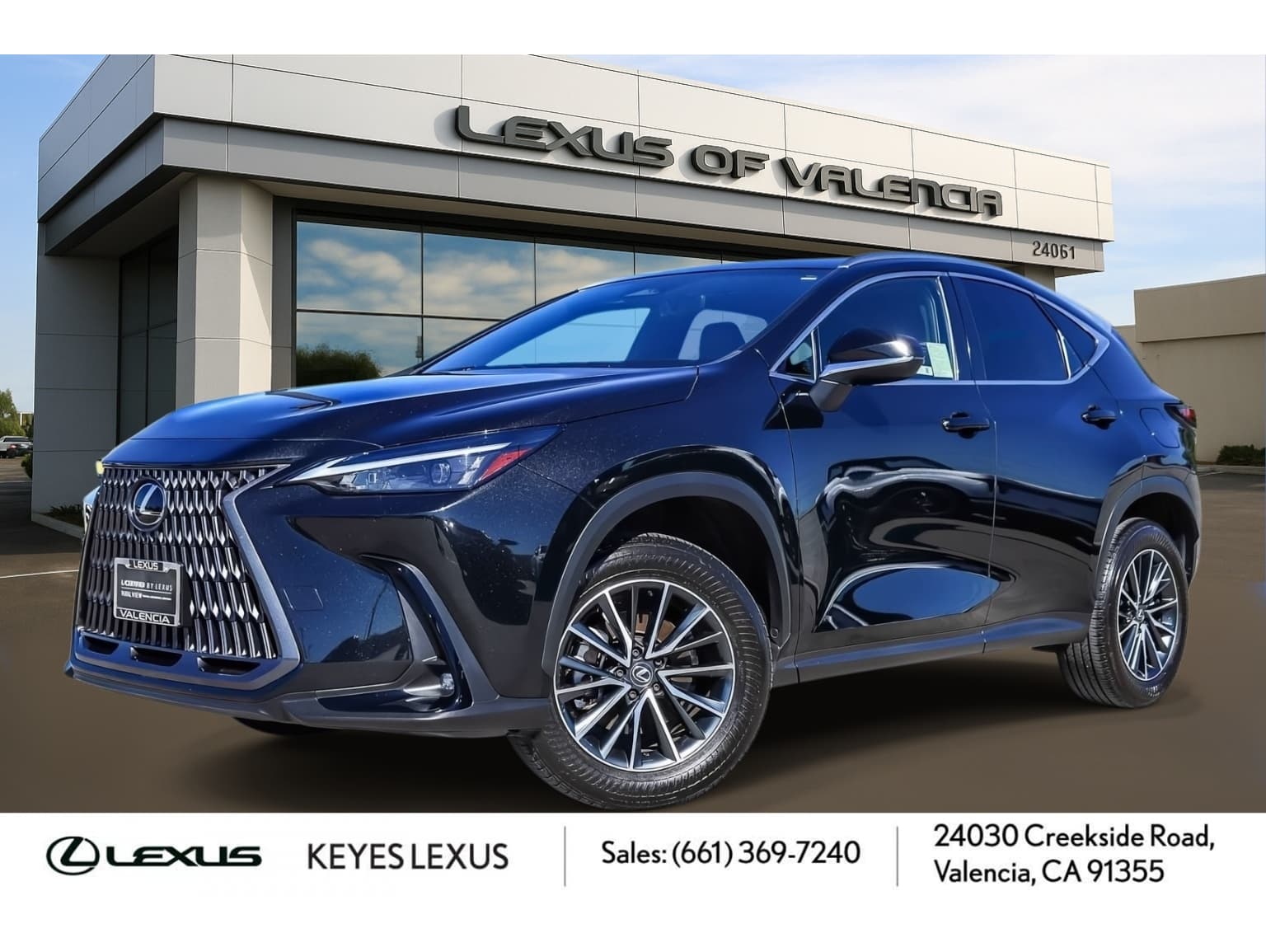 2024 Lexus NX 250