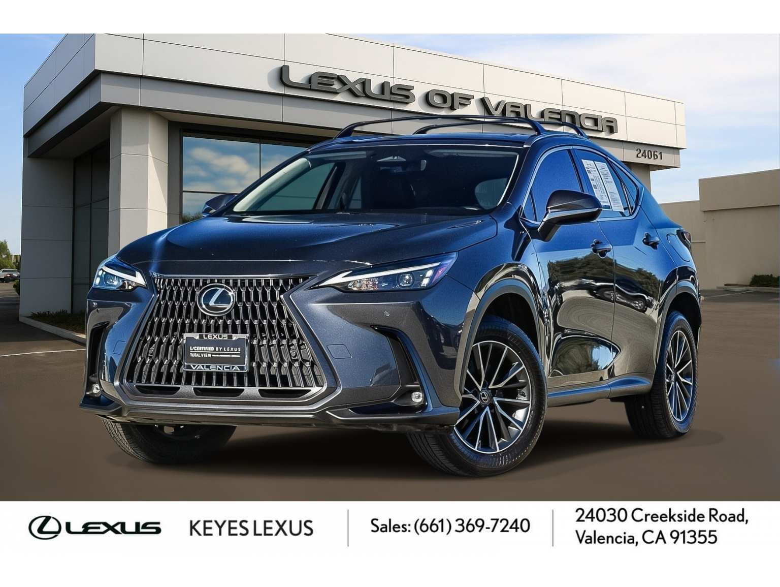 2024 Lexus NX 250's photo