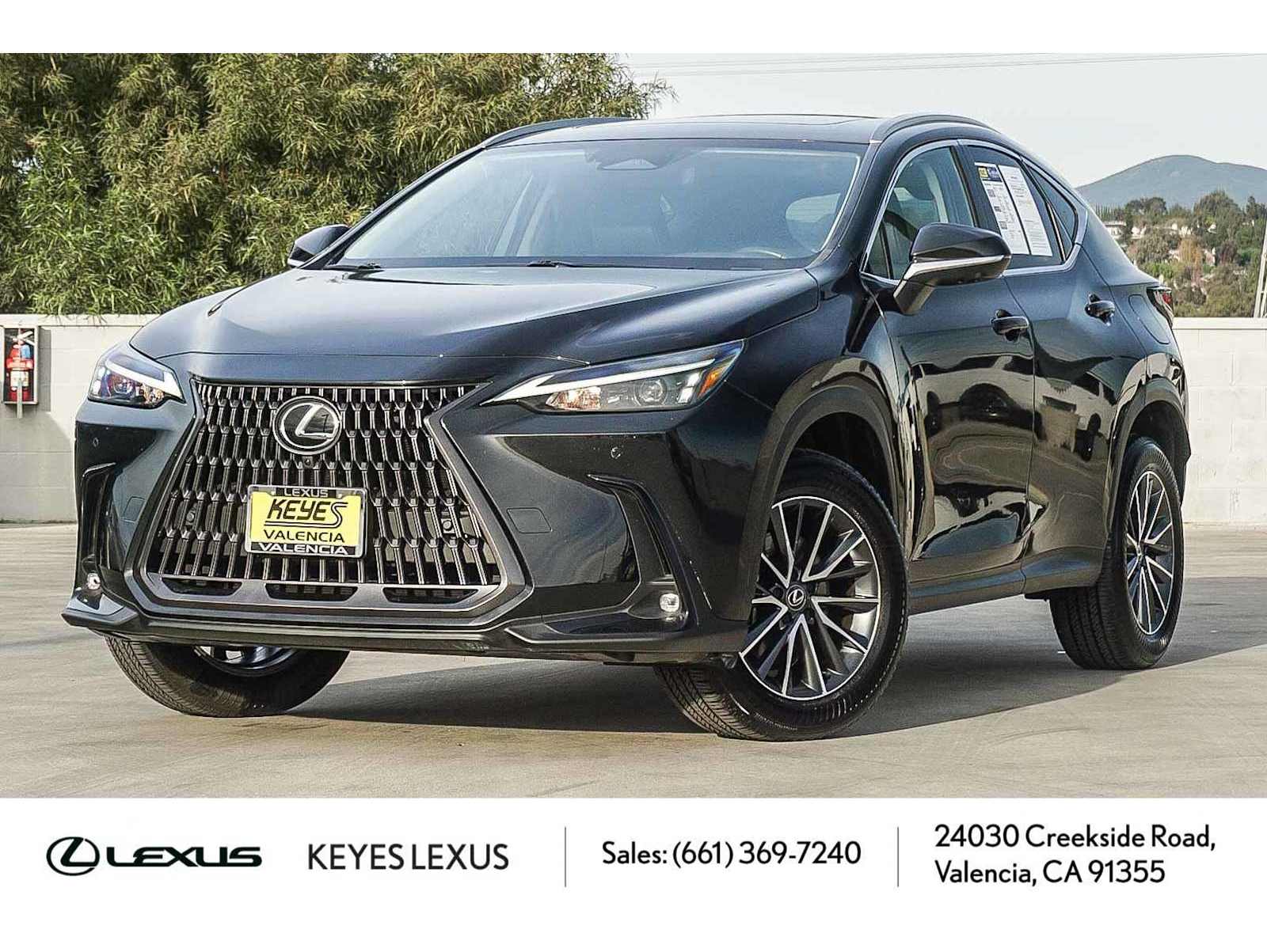 2024 Lexus NX Hybrid 350h's photo