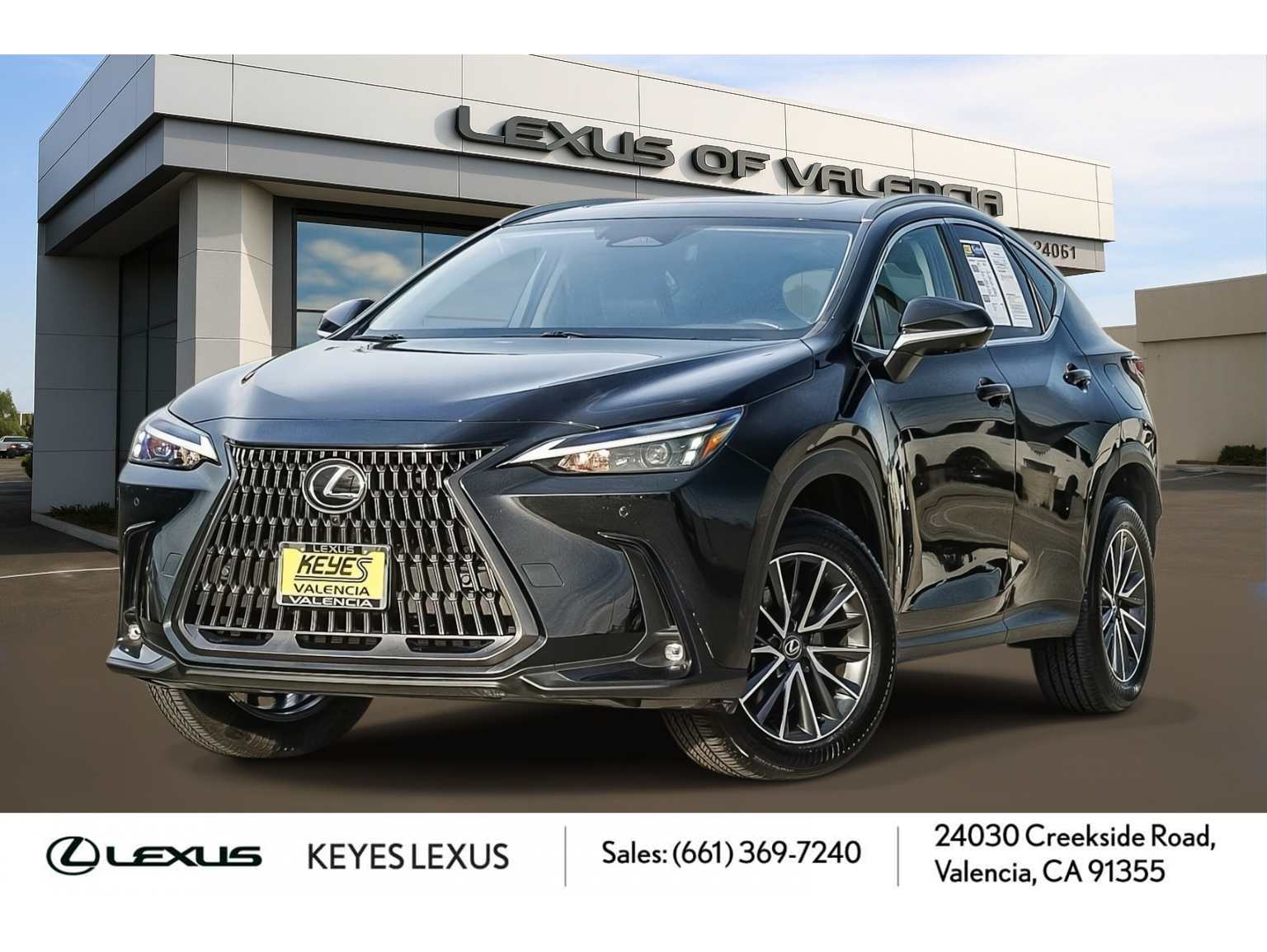 2024 Lexus NX Hybrid 350h's photo