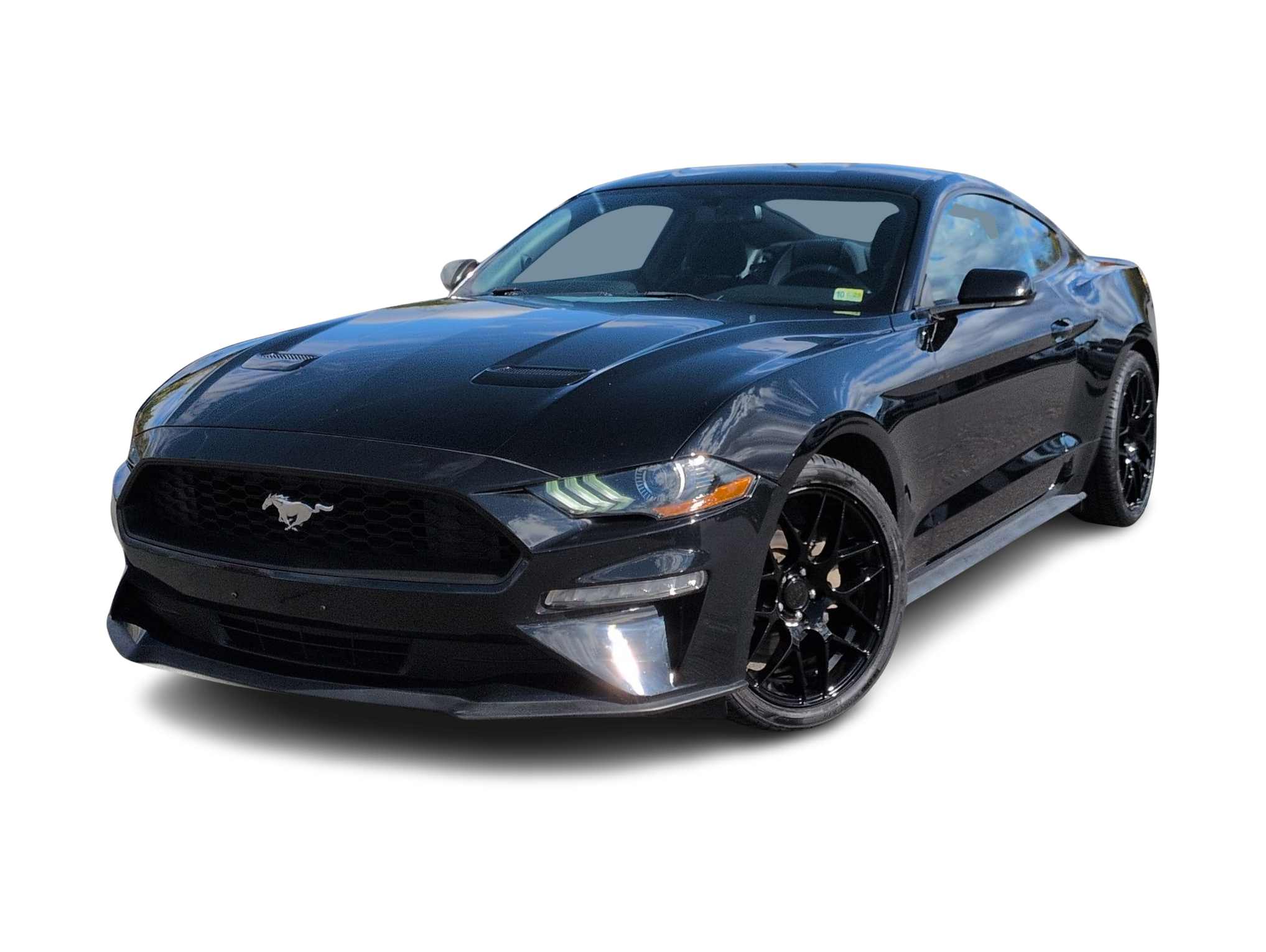 2019 Ford Mustang  -
                  Sterling, VA