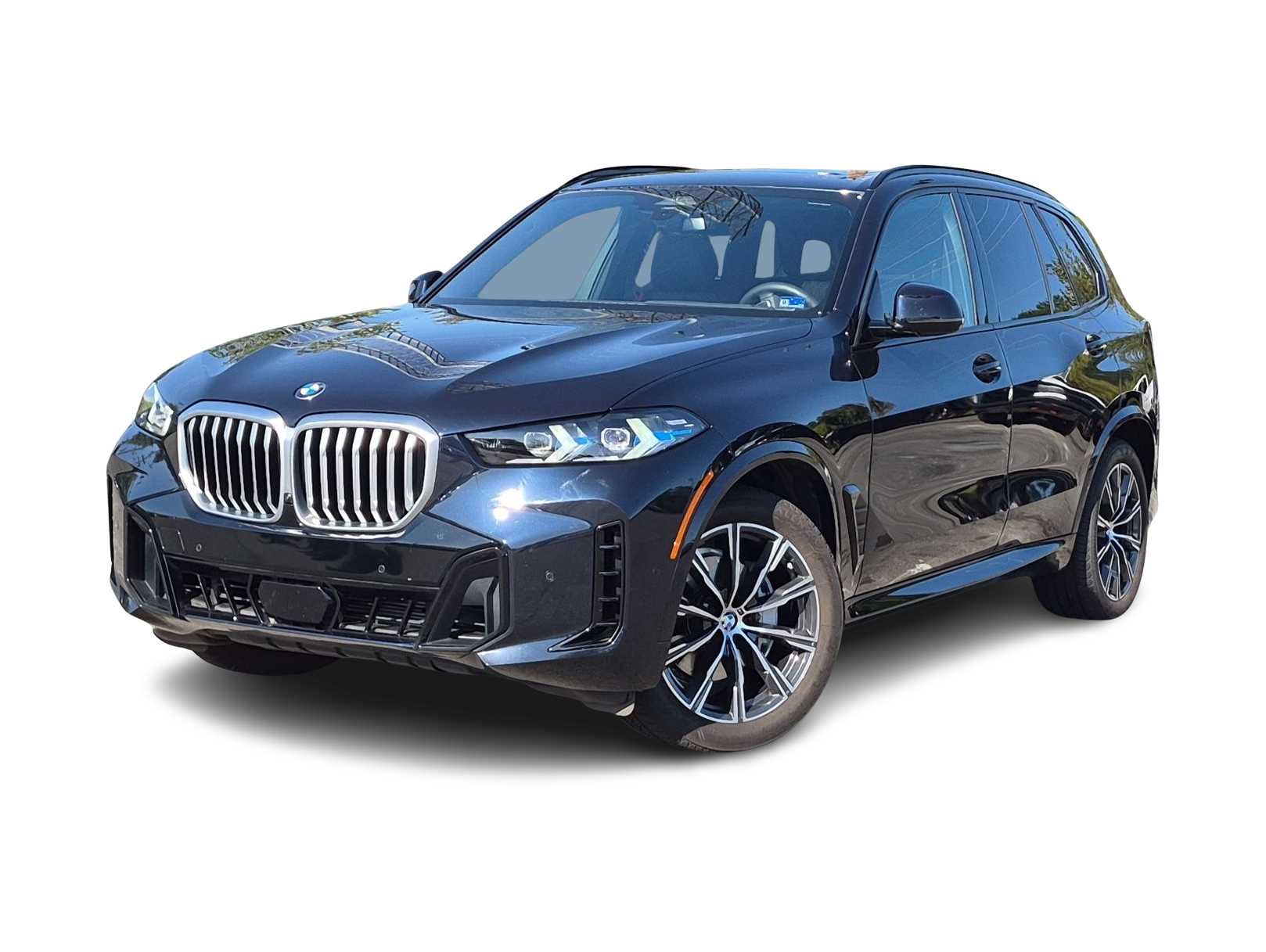 Thumbnail: 2024 BMW X5 - 1