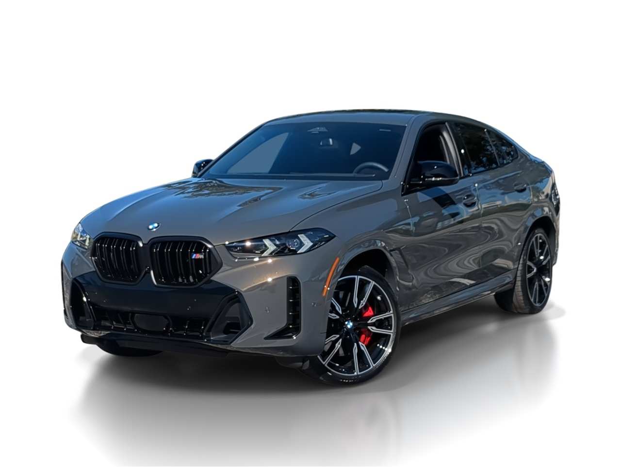 2026 BMW X6