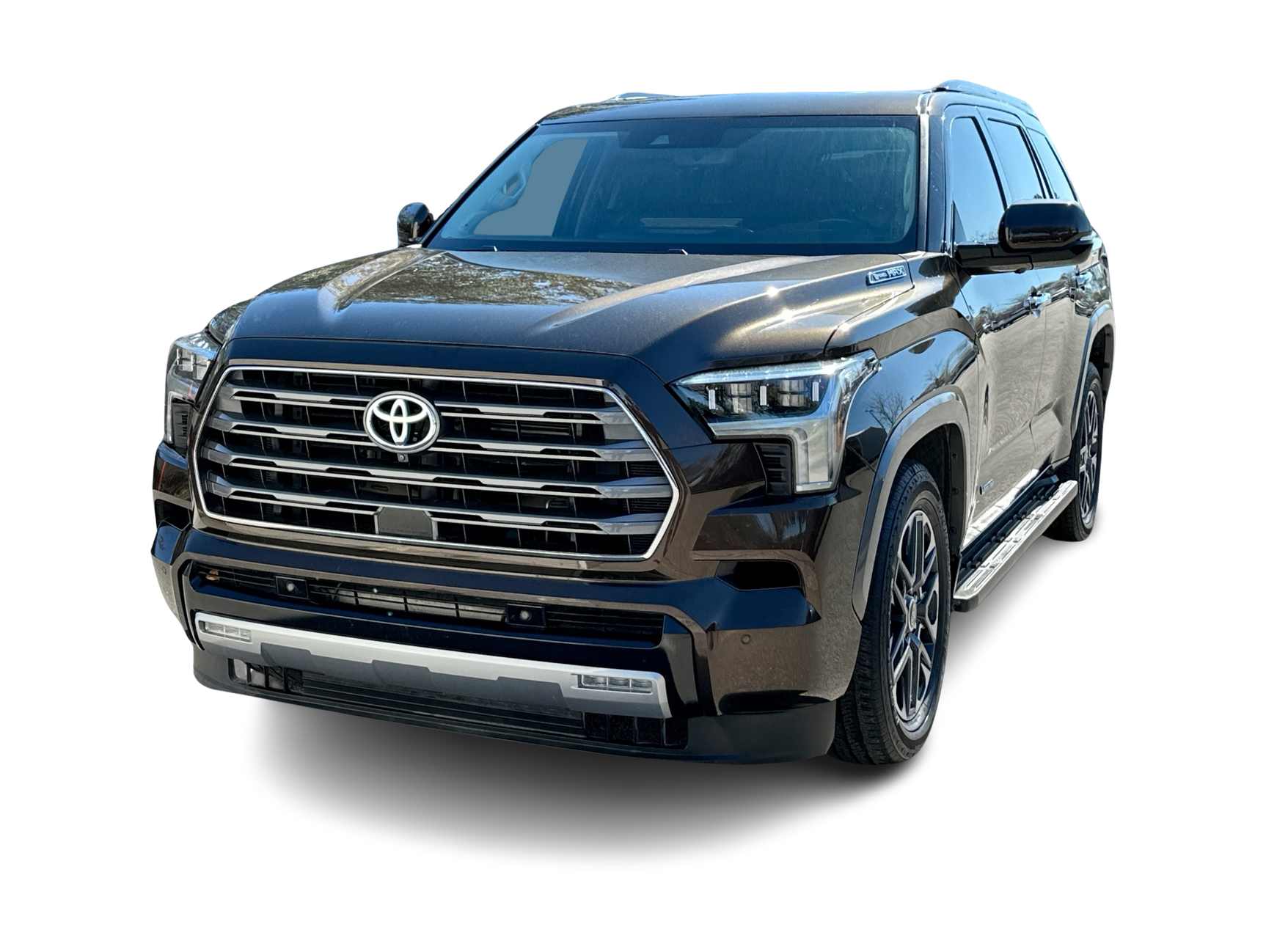 2023 Toyota Sequoia Limited -
                  Wesley Chapel, FL