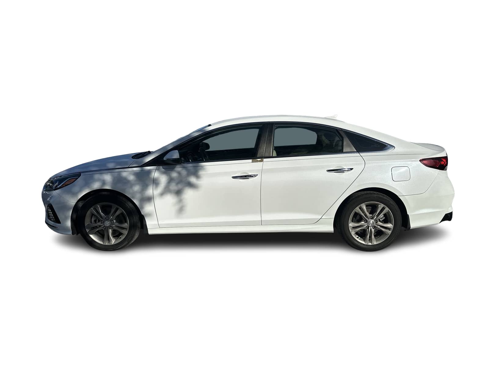 2019 Hyundai Sonata SEL -
                  Wesley Chapel, FL