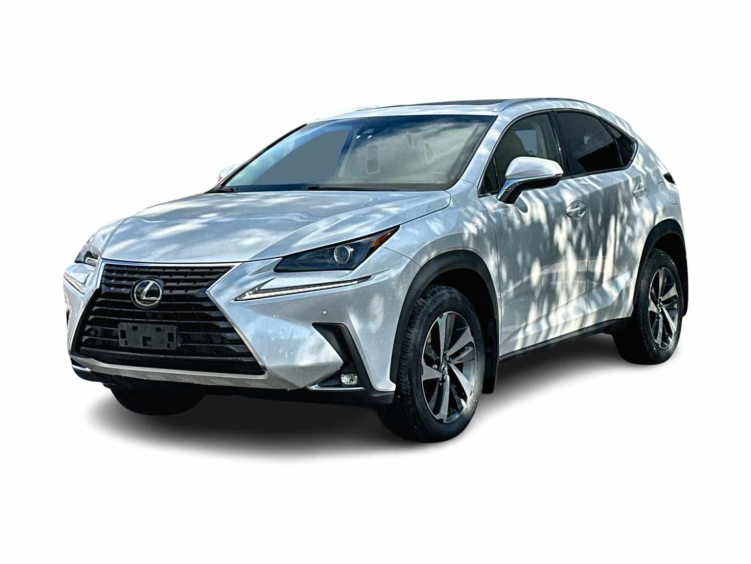 2018 Lexus NX 300 -
                  Wesley Chapel, FL
