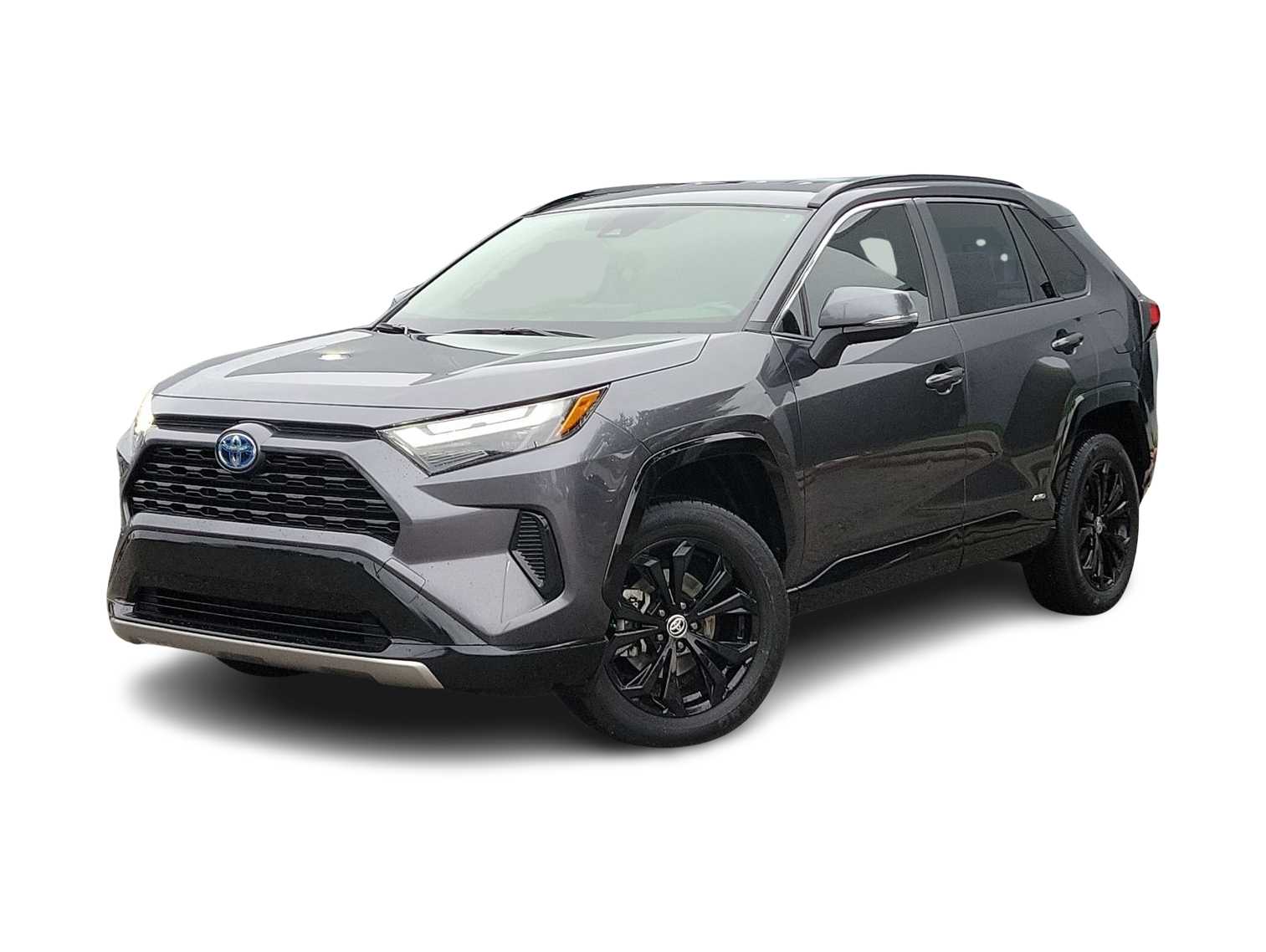 2022 Toyota RAV4 SE -
                Wesley Chapel, FL