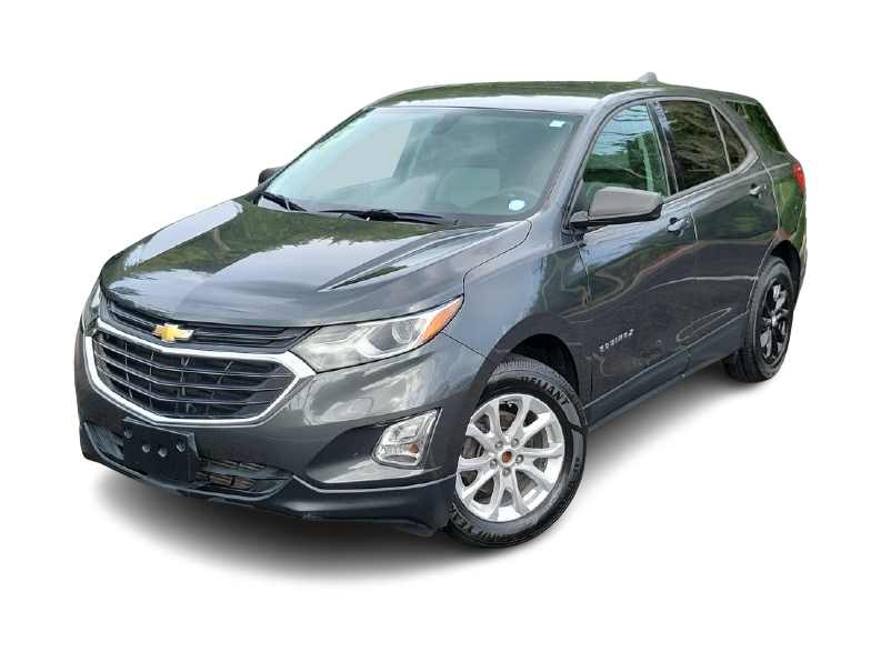 2019 Chevrolet Equinox LS -
                  Wesley Chapel, FL