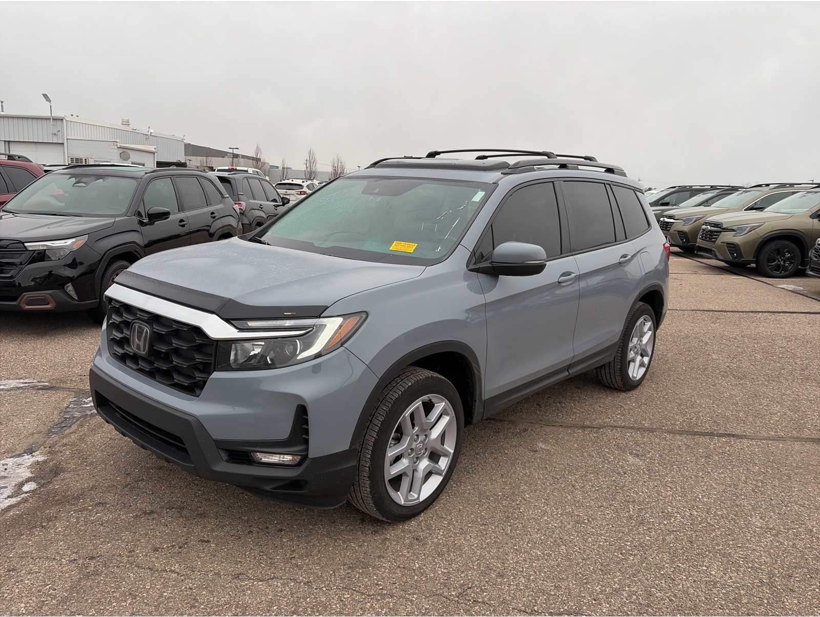 2025 Honda Passport EX-L's photo