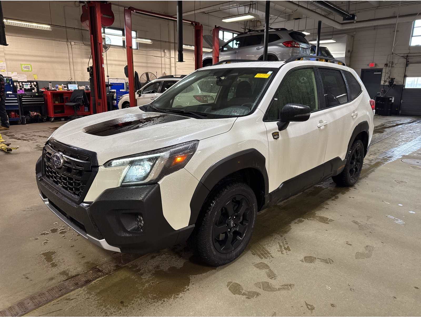 2023 Subaru Forester Wilderness