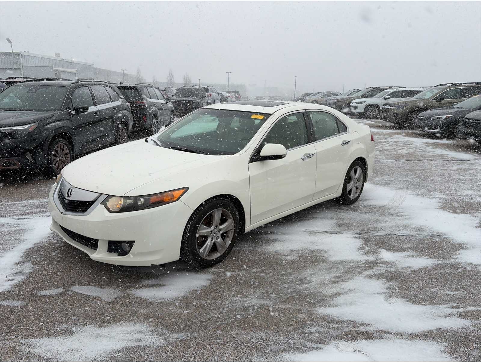 2010 Acura TSX's photo
