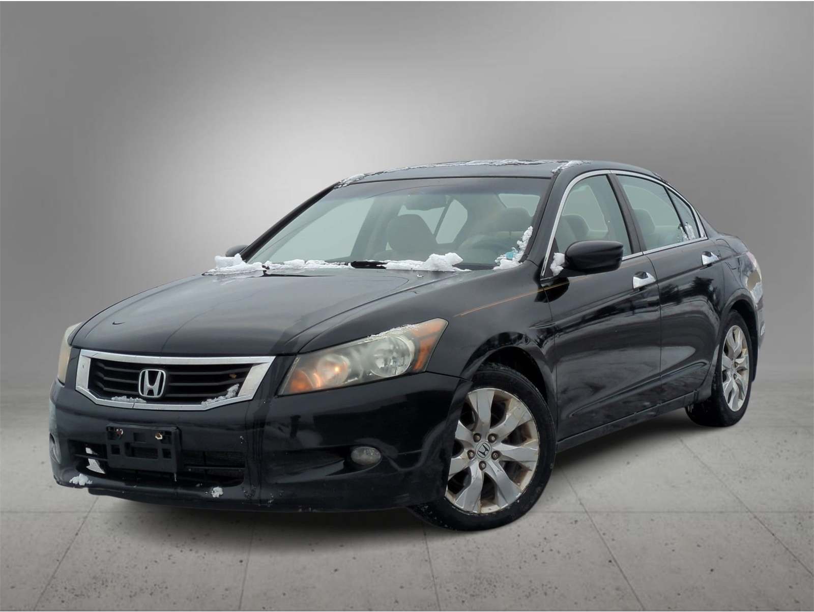 2010 Honda Accord EX-L V6's photo
