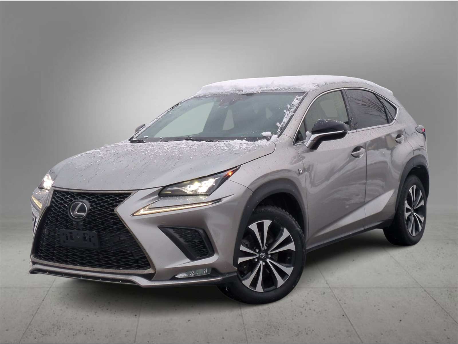 2021 Lexus NX 300 F SPORT's photo