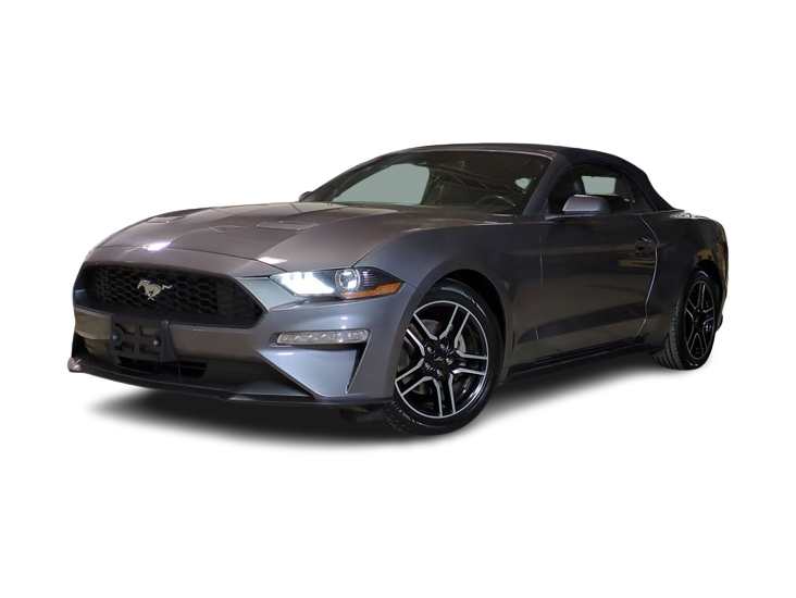 2022 Ford Mustang  -
                Garden City, MI