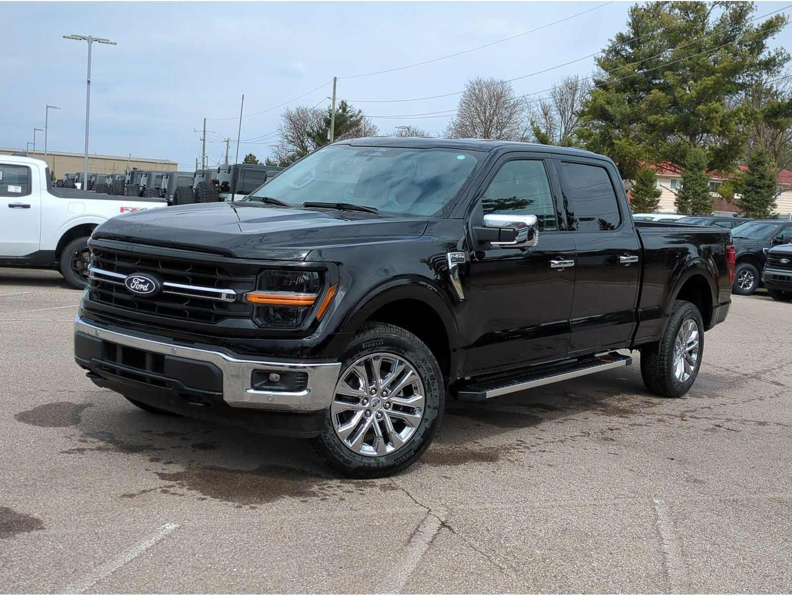 2025 Ford F-150 XLT's photo