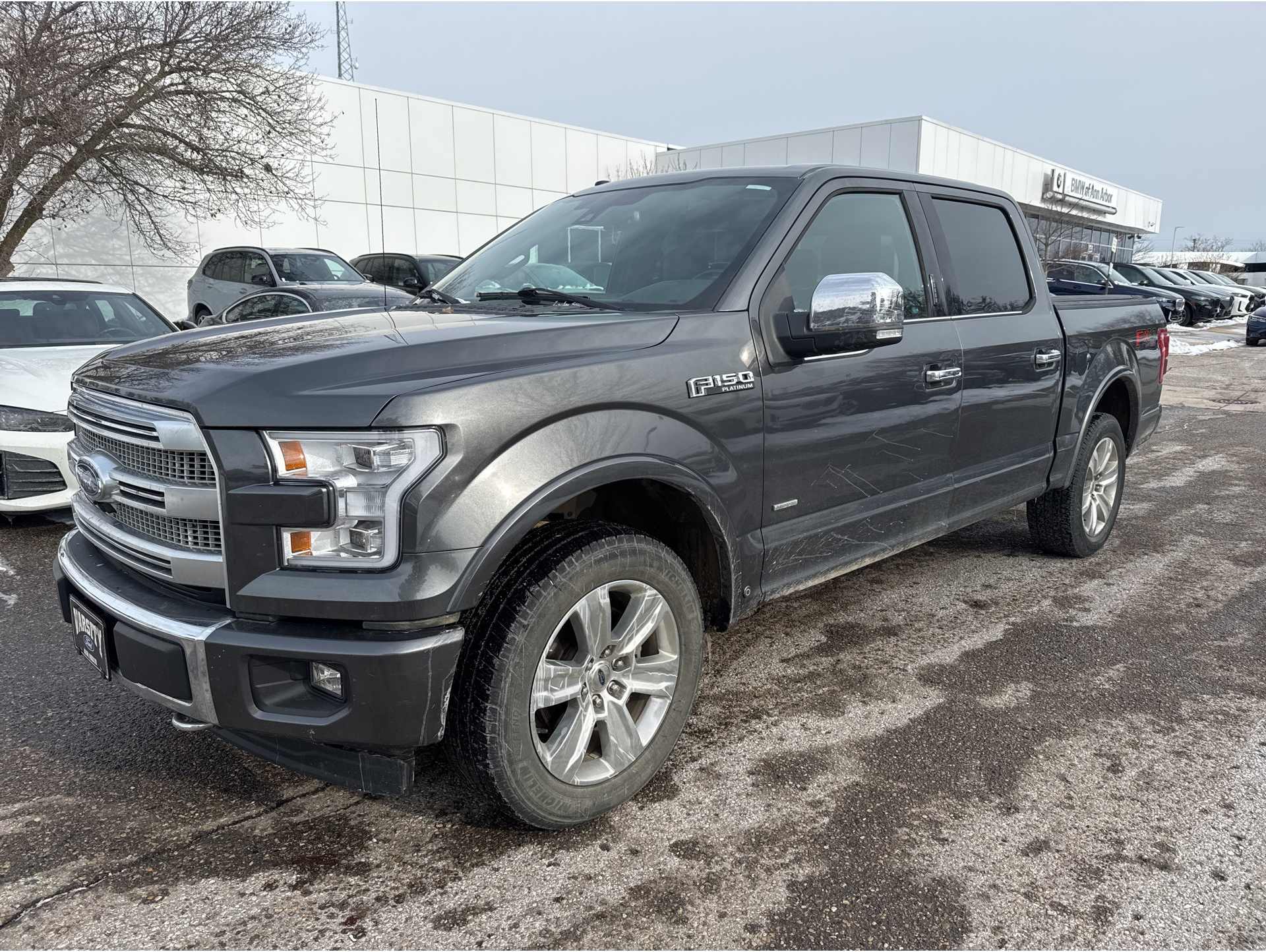 2017 Ford F-150 Platinum's photo