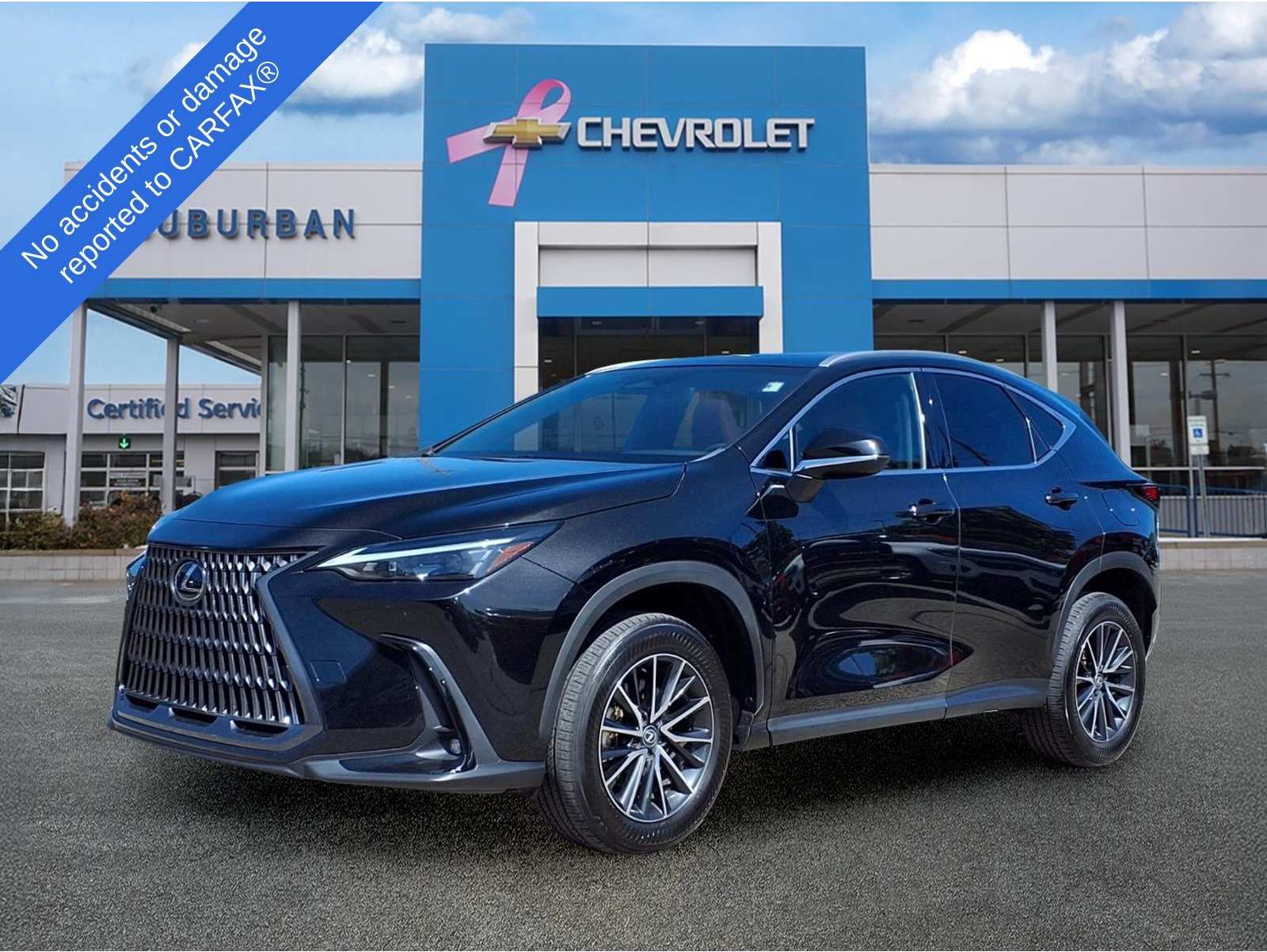 2024 Lexus NX